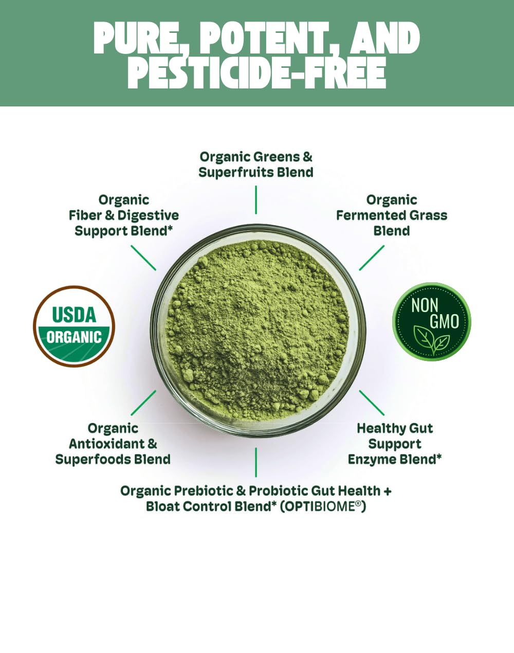 Cheerific Green Apple Bliss Superfood Powder - 20+ Organic Superfoods + Prebiotic & Probiotics + More - Keto Friendly - Supports Positive Mood, Gut Health - Vegan, Gluten Free, Non-GMO - 30 Day Supply Cheerific uk supplements