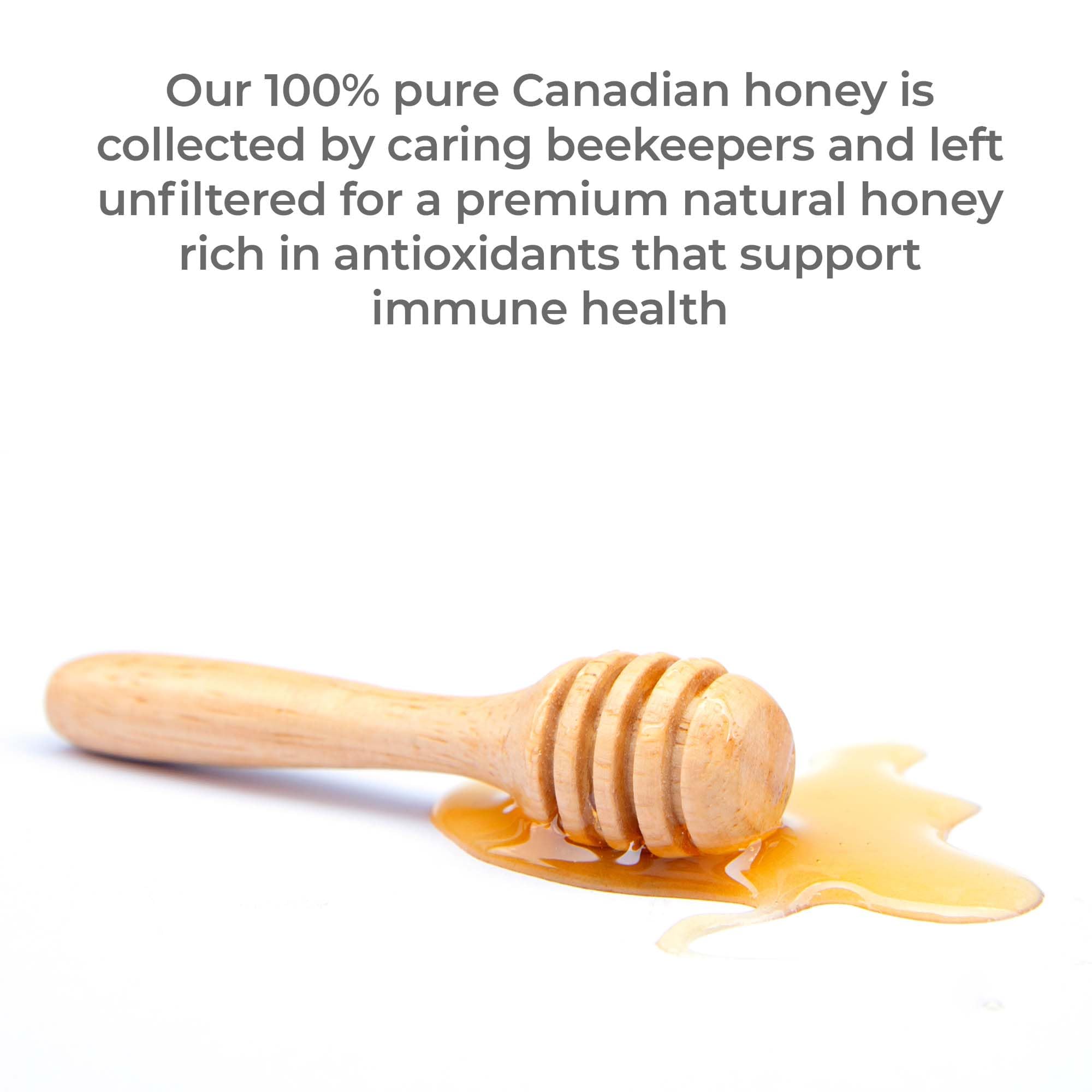 Premier Research Labs Canadian Gold Honey - Raw Honey, Pure Honey, Raw Unpasteurized Honey, Unfiltered, 100% Pure, Sugar-Free, Unprocessed Wildflower Honey - 1 lb Jar Premier Research Labs uk supplements