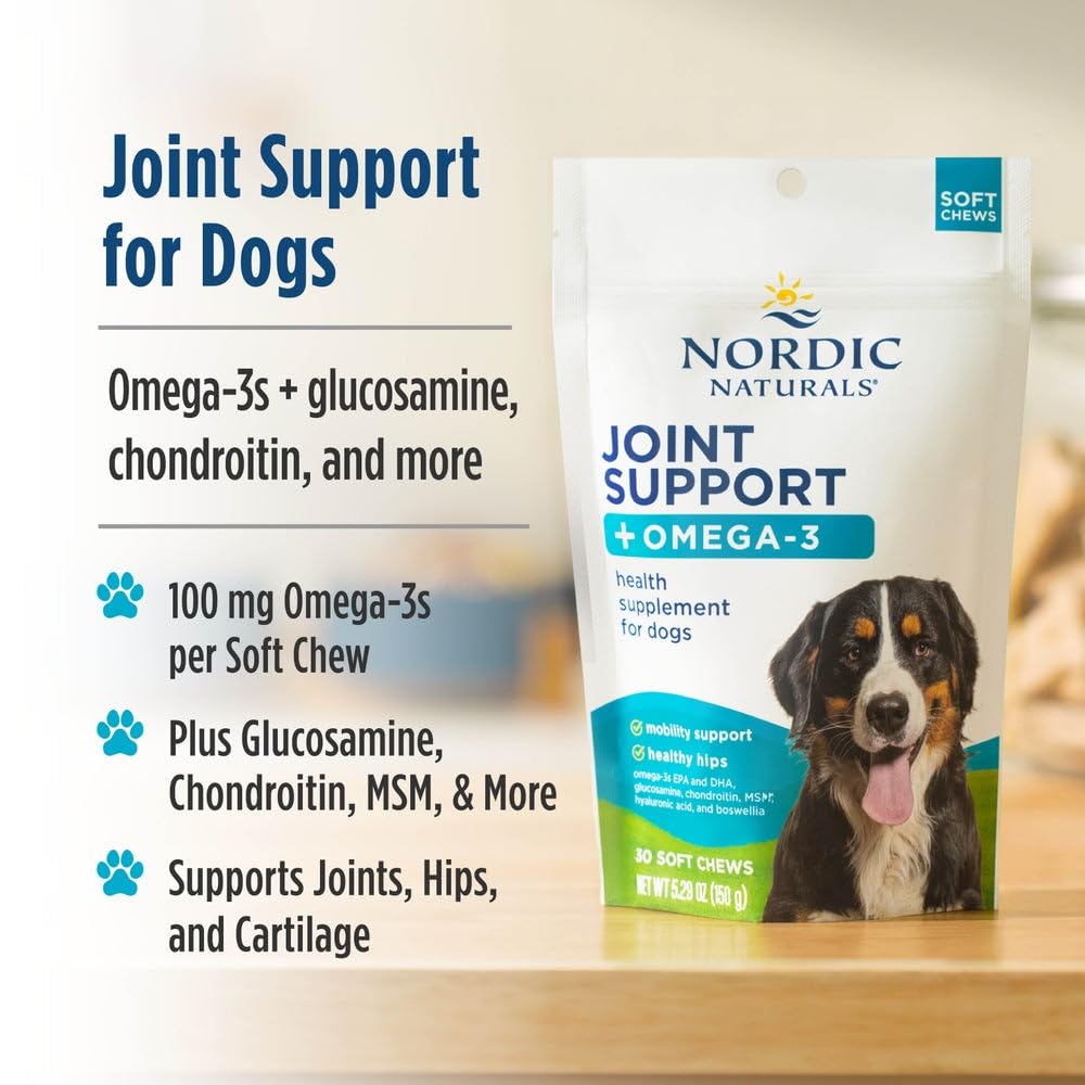 Nordic Naturals Pet Joint Support + Omega 3 Soft Chews for Dogs, Pork Bone Broth Flavored - Promotes Mobility, Hip and Joint Support with Omega-3 Fish Oil, MSM, EPA & DHA - 30 Non-GMO Chews Nordic Naturals uk supplements