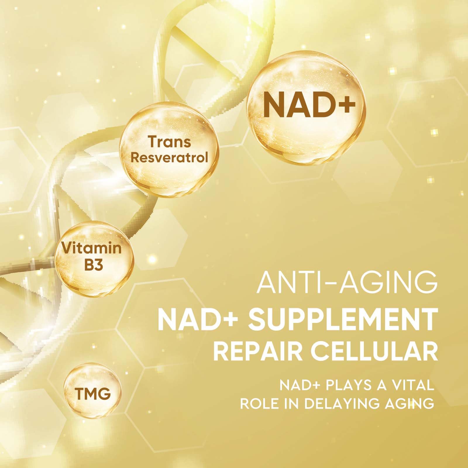 Life Nutrition NAD+ Supplement 1000 mg - 120 Capsules True NAD+ & Resveratrol, NMN Alternative Supports Anti-Aging, Cellular Energy & Repair, Metabolism & Brain Boost for Men & Women Life Nutrition uk supplements
