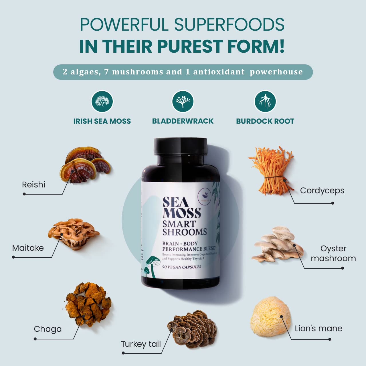 HAPPY FOX Irish Sea Moss Capsules & Mushroom Complex - Organic Seamoss with Adaptogens for Brain Health, 1500mg, 90 Vegan Capsules, Organic Mushroom Supplement HAPPY FOX uk supplements