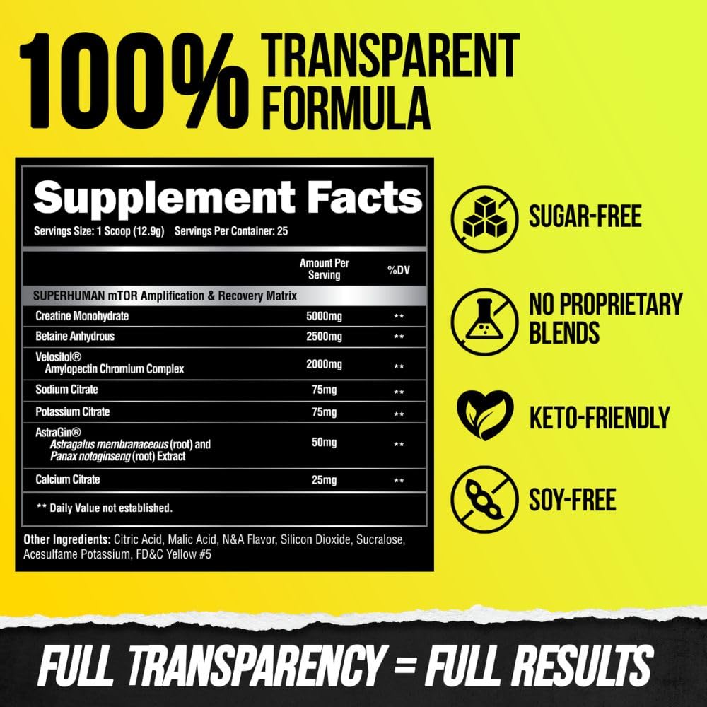 ALPHA LION Superhuman Pre Workout Powder & Post Workout Recovery Bundle, Sustained ALPHA LION uk supplements