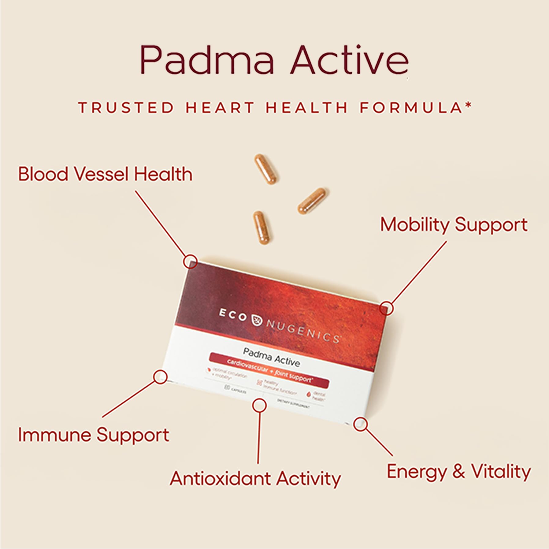 EcoNugenics Padma Active for Women & Men: Vitamin C Supplement for Collagen Formation, Energy Levels, and Immune System, Cellular & Antioxidant Support – Tibetan Recipe of Natural Herbs & Minerals EcoNugenics uk supplements