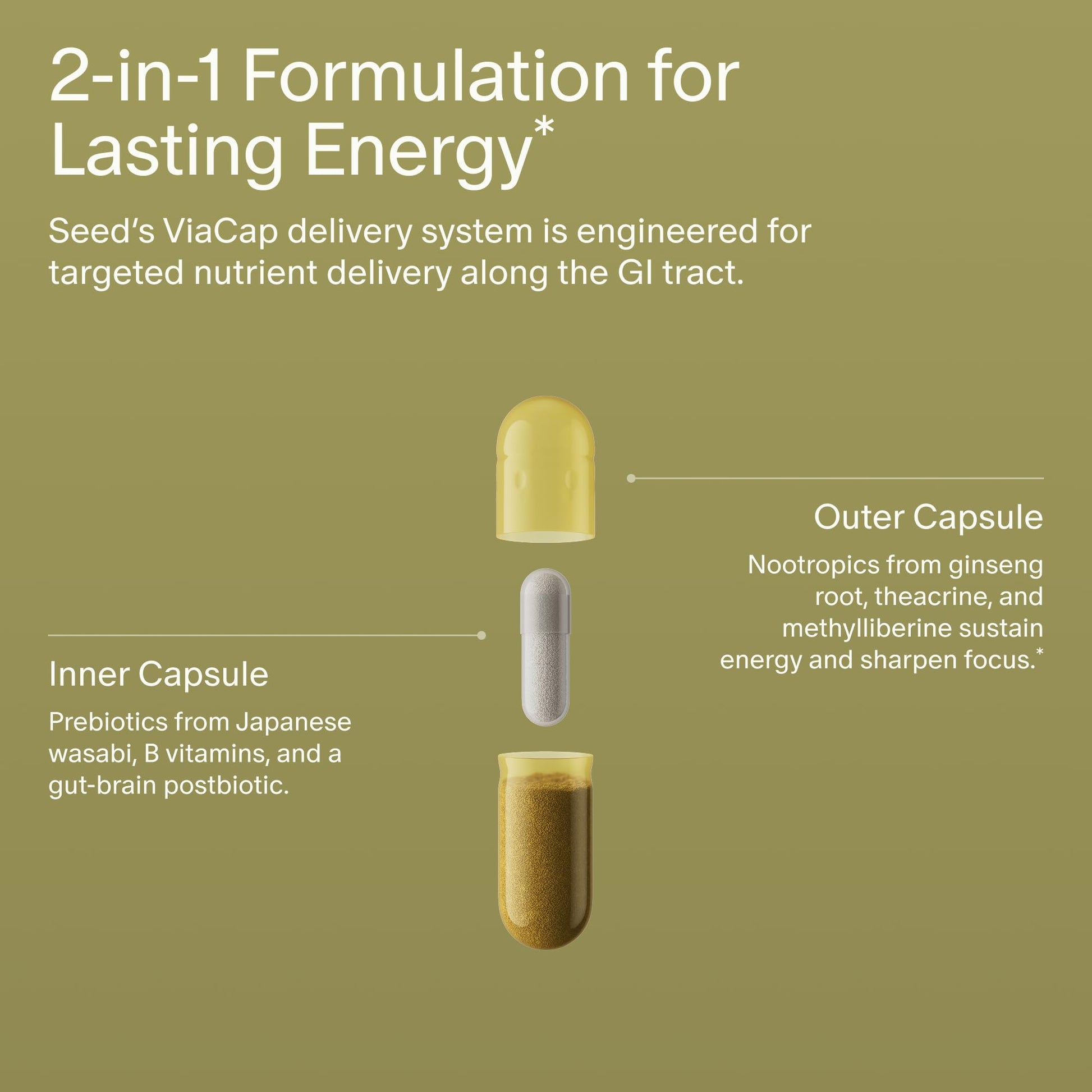 Seed AM-02 Energy + Focus - Daily Nootropic Supplement for Women & Men - Fast-Acting & Sustained Energy for Up to 6 Hours - Caffeine-Free Vegan & Shelf-Stable - 30 Capsules (30-Day Supply) Visit the Seed Store uk supplements
