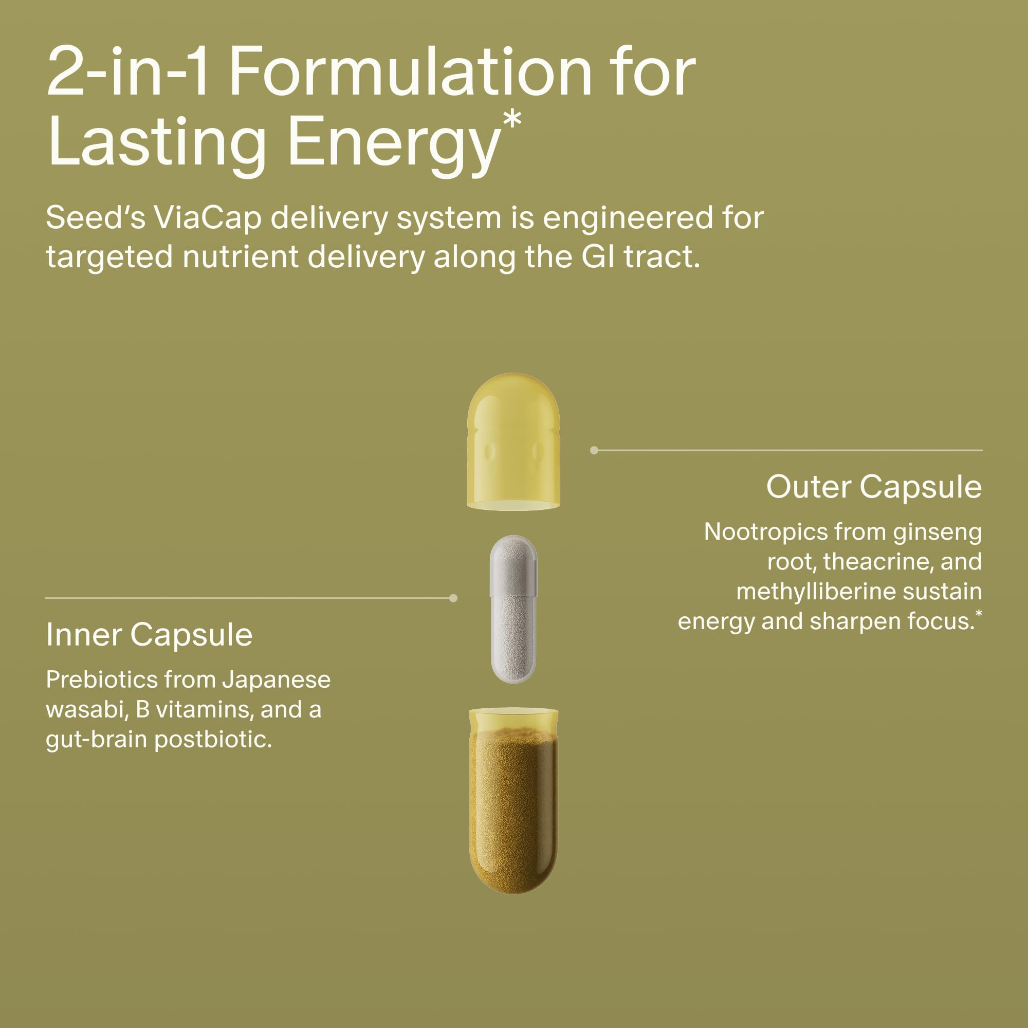 Seed AM-02 Energy + Focus - Daily Nootropic Supplement for Women & Men - Fast-Acting & Sustained Energy for Up to 6 Hours - Caffeine-Free Vegan & Shelf-Stable - 30 Capsules (30-Day Supply) Visit the Seed Store uk supplements