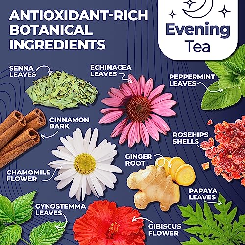 Total Tea Detox Tea & Energy Tea Set - 25 Day Detox Tea - Herbal SIim Tea Total Tea uk supplements