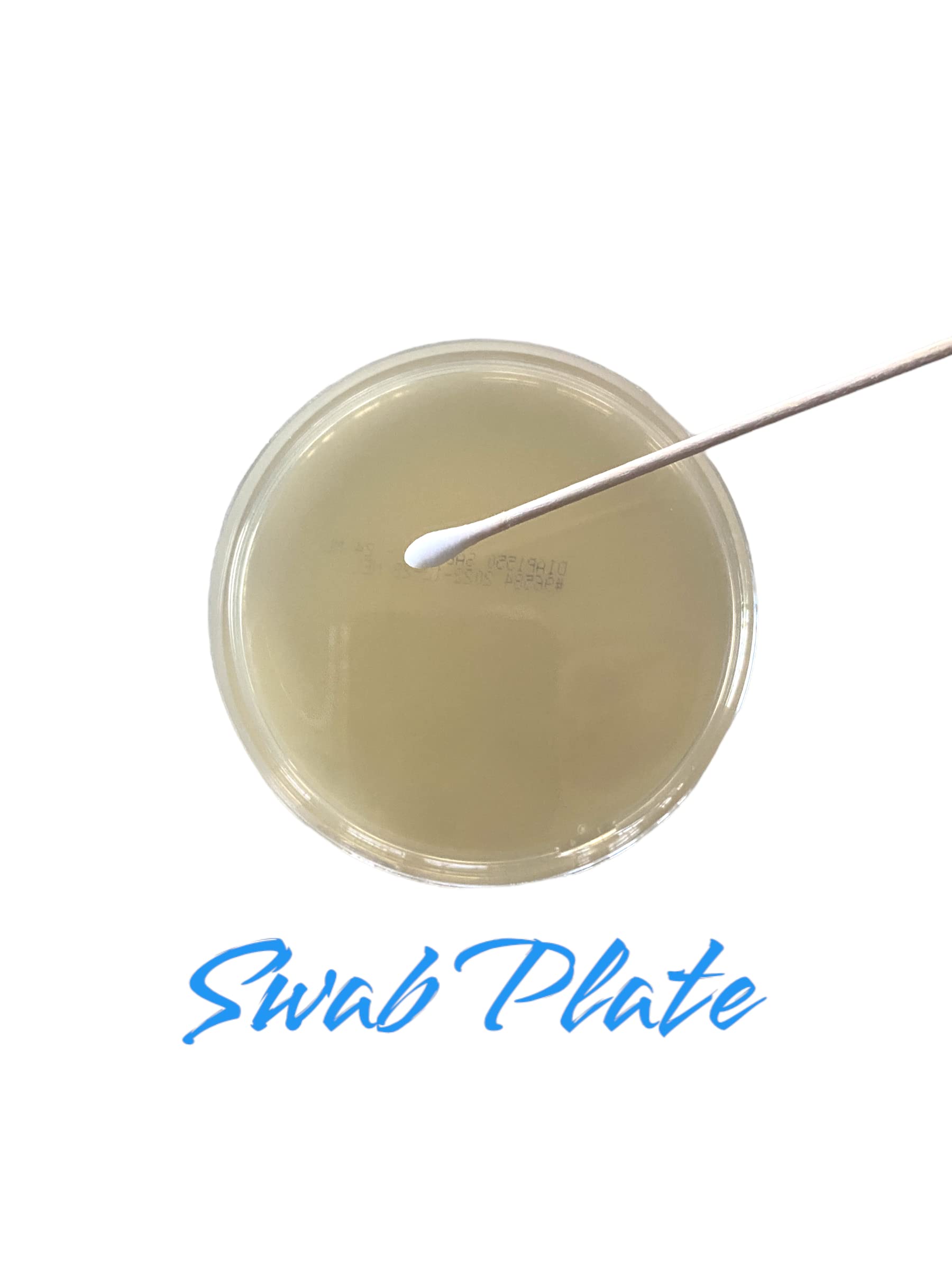 Diamante Scientific Essential Bacteria Kit. Pre-Poured Agar Plates & Swabs. Perfect for Kids. Great for Learning About Microbiology. STEM Education. Experiment Guide eBook Included! Diamante Scientific uk supplements