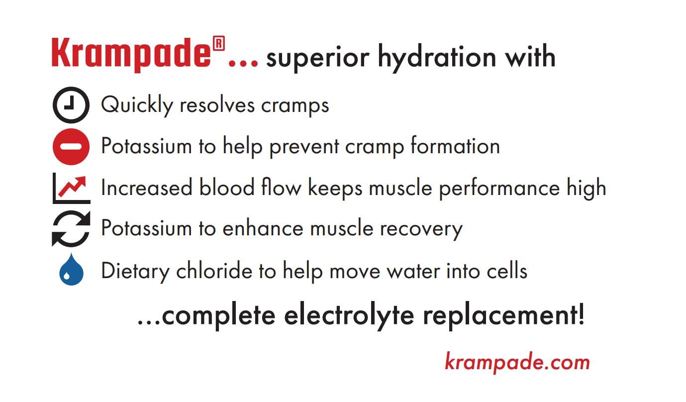 Krampade Original Lemon Lime 4K, 4000 mg Potassium Instant Cramp Relief Electrolyte Drink Powder | Designed for Athletes and Crampers | 19-Serving Resealable Pouch Krampade uk supplements