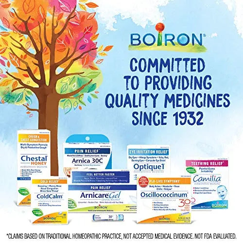 Boiron Bryonia 6X Homeopathic Medicine for Muscle & Joint Pain - 80 Pellets Boiron uk supplements