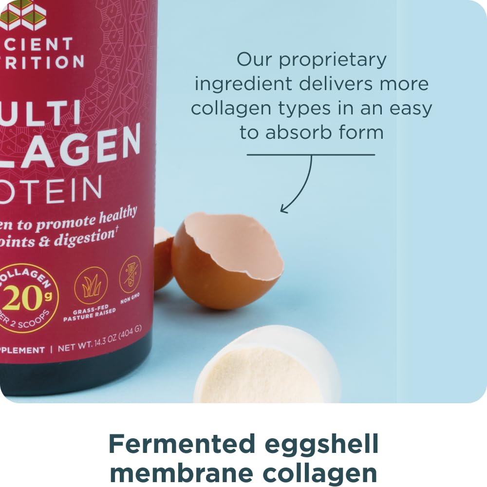 Ancient Nutrition Collagen Powder Protein with Probiotics, Unflavored Multi Collagen Protein with Vitamin C, 45 Servings, Hydrolyzed Collagen Peptides Supports Skin and Nails, Gut Health, 16oz Ancient Nutrition uk supplements