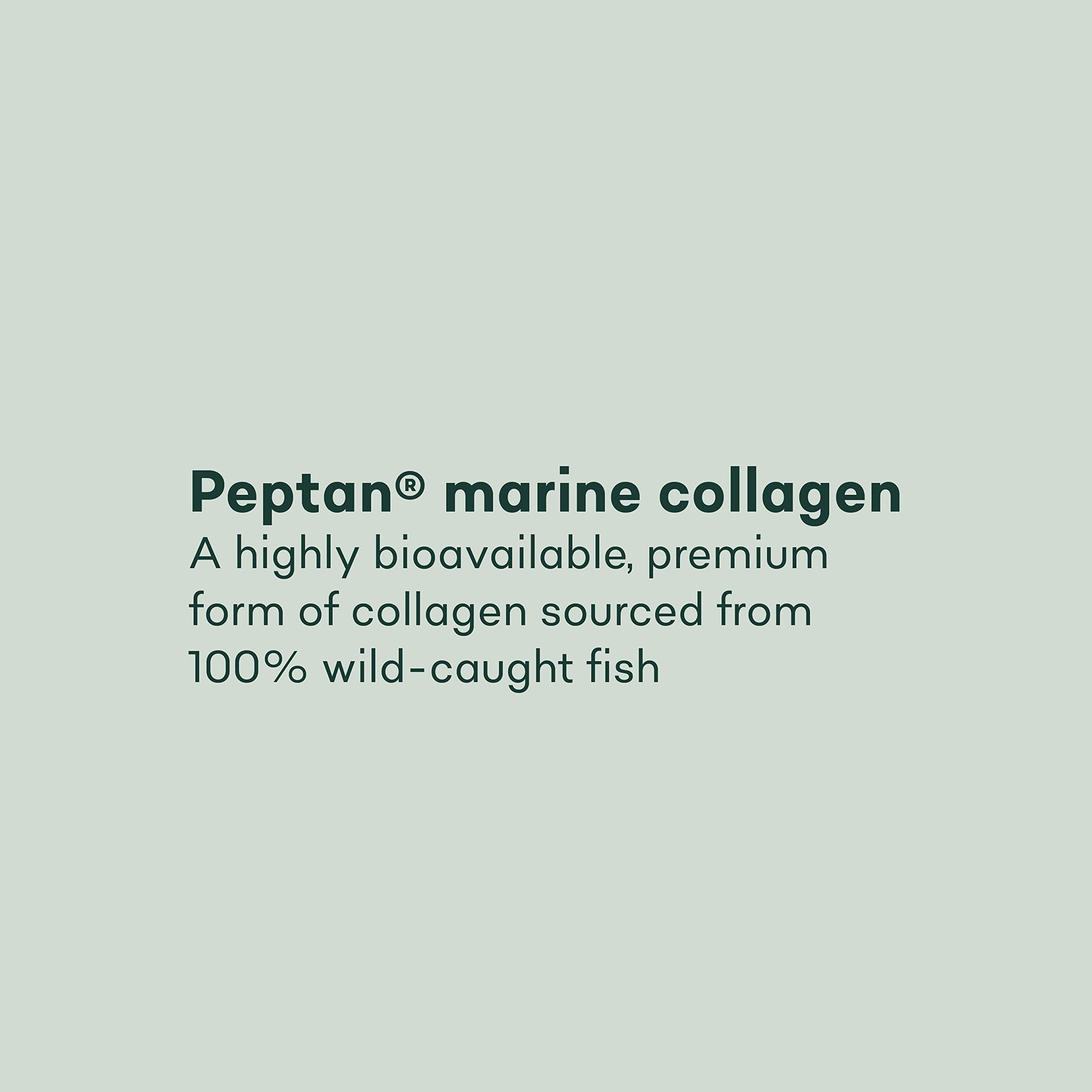 Pure Collagen Tablets - High Strength 1000mg Peptan Marine Collagen Supplements - Collagen Powder Project Nutrition uk supplements