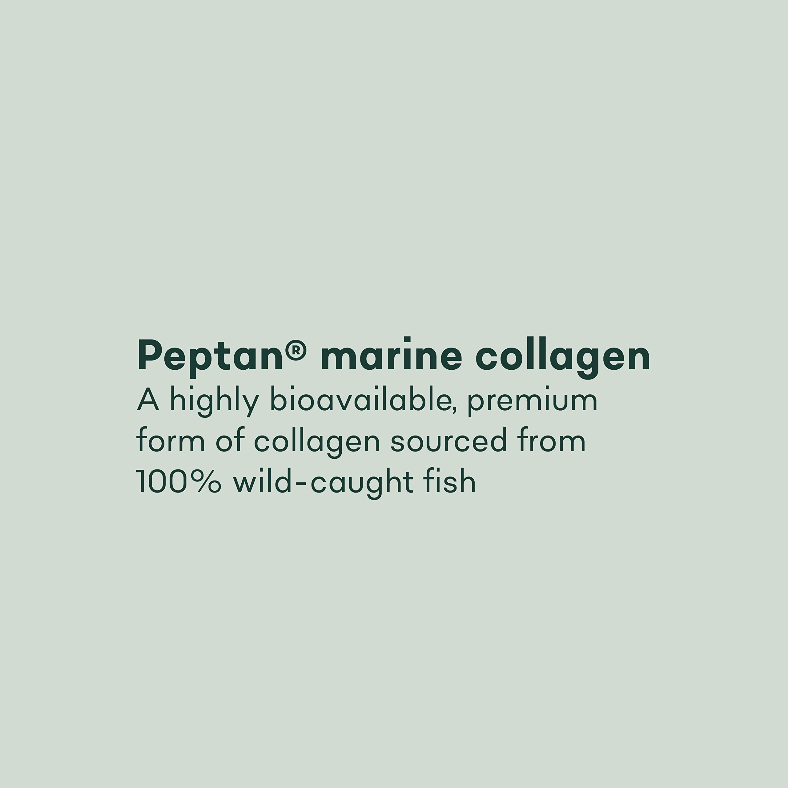 Pure Collagen Tablets - High Strength 1000mg Peptan Marine Collagen Supplements - Collagen Powder Project Nutrition uk supplements