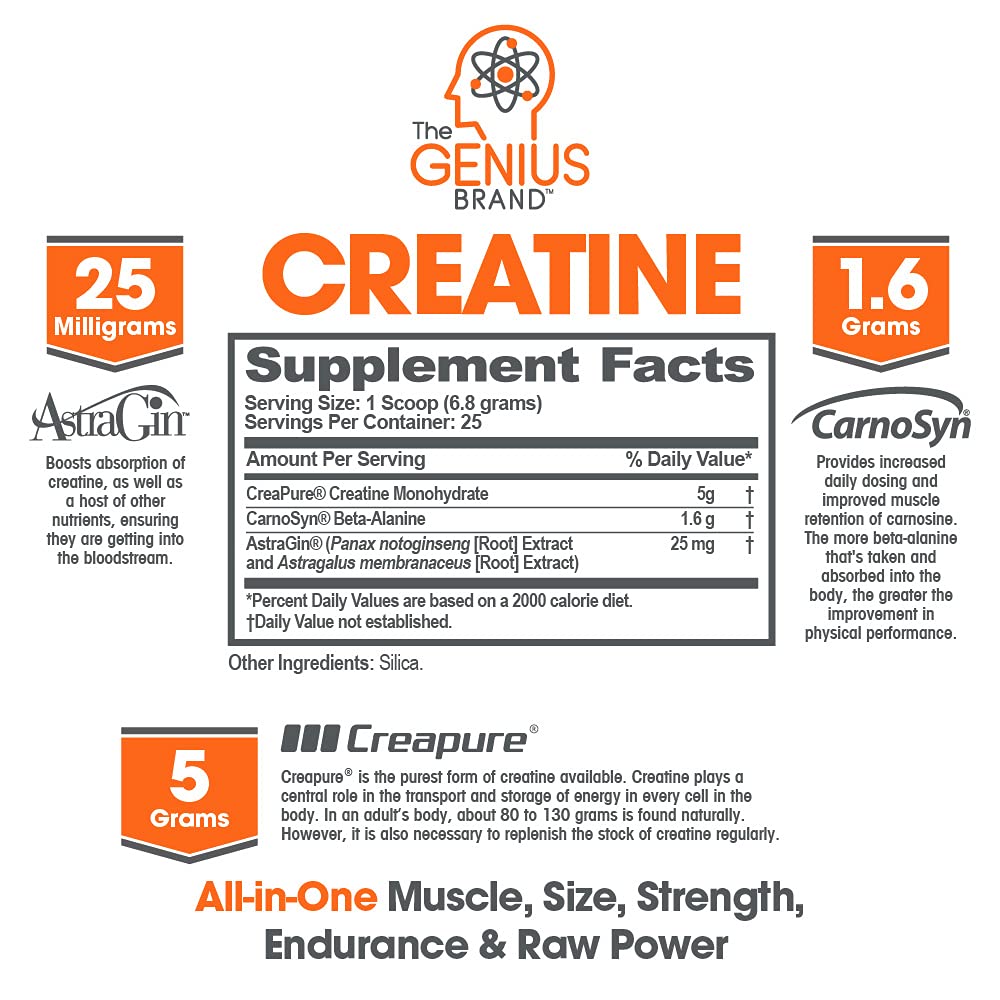 Genius Pre Workout Powder, Blue Razz, and Genius Micronized Creatine Monohydrate The Genius Brand uk supplements