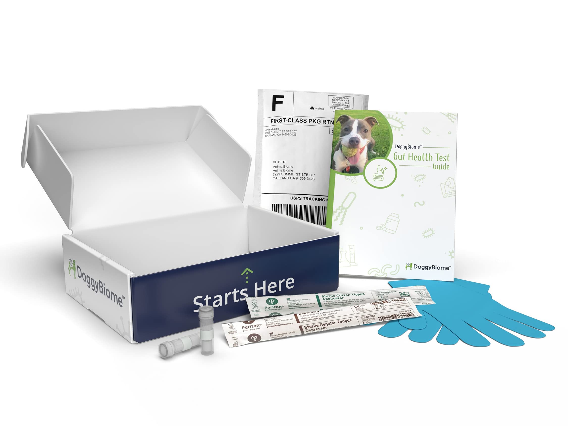 AnimalBiome Dog Gut Health Test – DoggyBiome At Home Stool Testing Kit, Canine Fecal Analysis for Digestive Issues, Diarrhea & Allergy Insights w/Personalized Report & Custom Plan (Dogs in US) AnimalBiome uk supplements