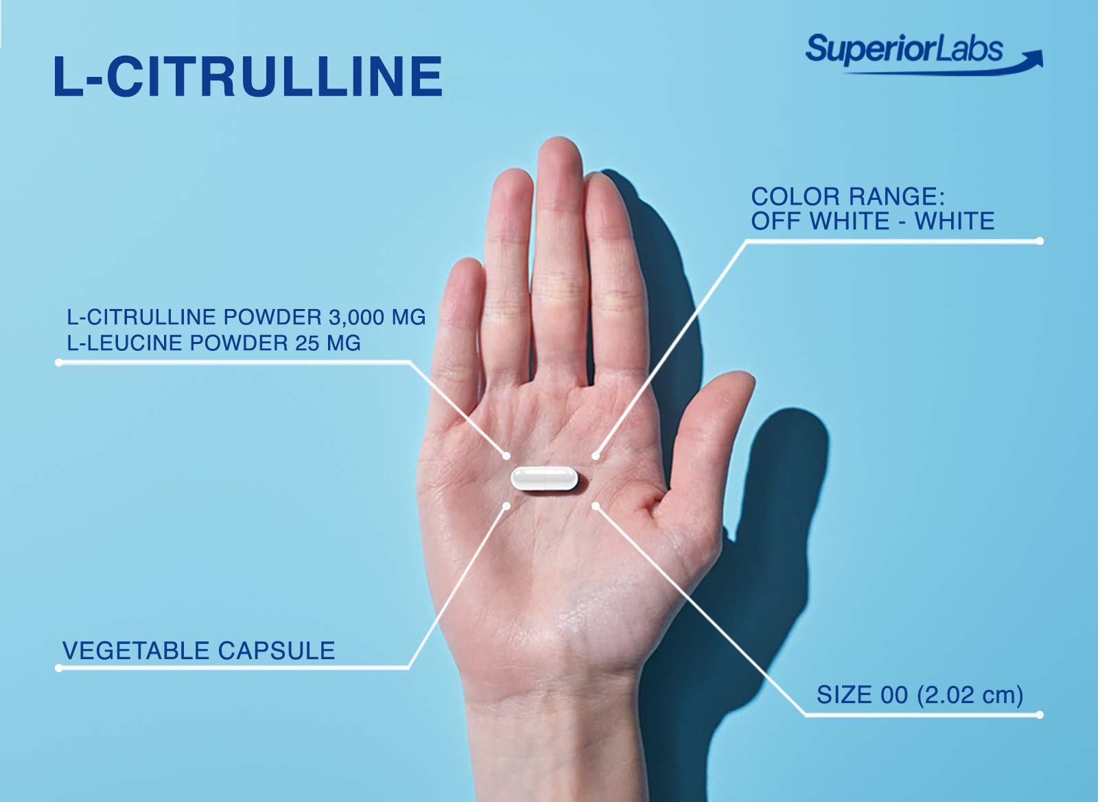 Superior Labs – Pure L-Citrulline – Free Form – Optimal 3,000mg Dosage – 150 Vegetable Superior Labs uk supplements