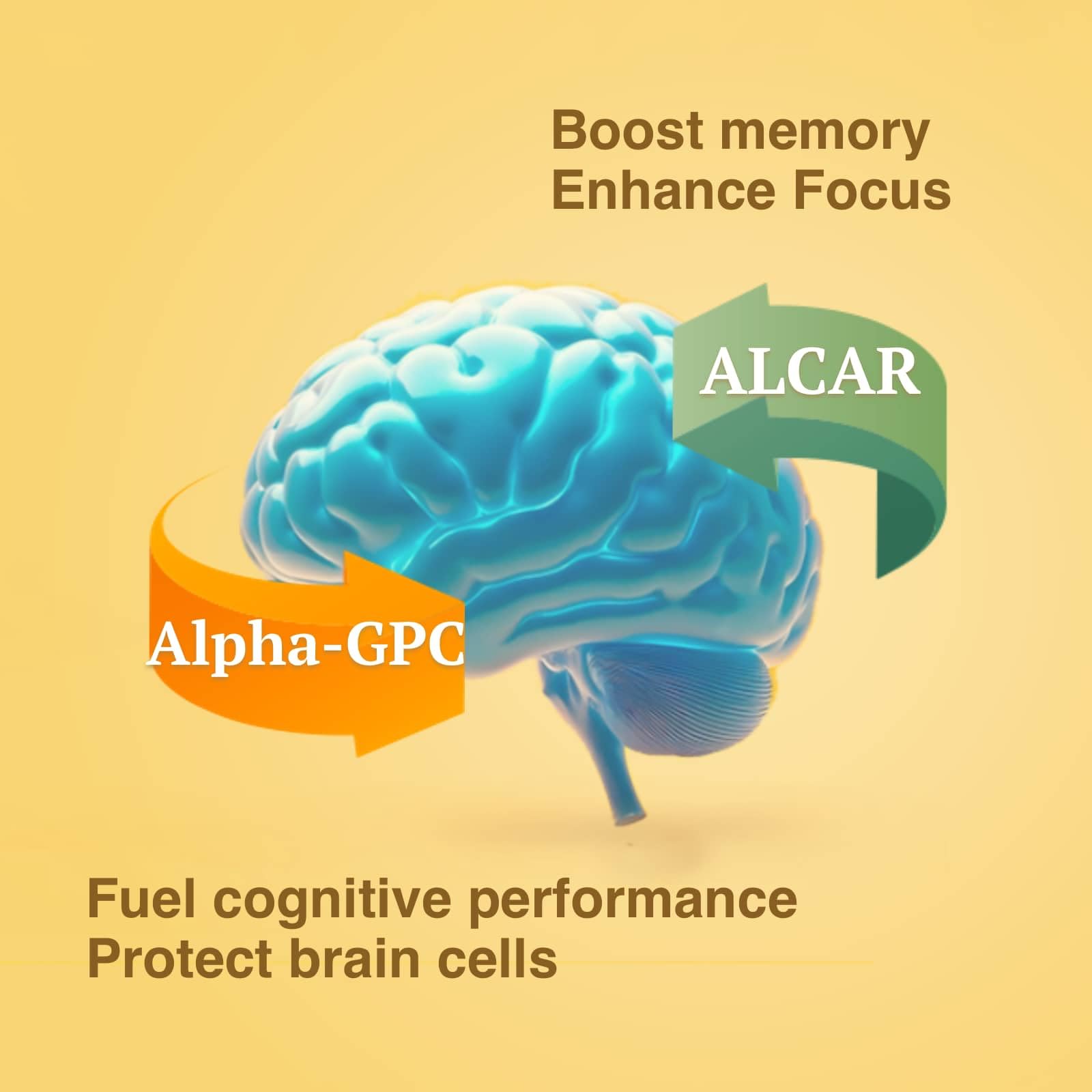 OPTINOURISH Brain Supplement for Memory and Focus, Nootropic for Adults, Fuel Brain Energy & Mental Clarity, Caffeine Free,Cognitive Support, Doctor-Formulated, Made in USA,cGMP,120 Caps OPTINOURISH uk supplements