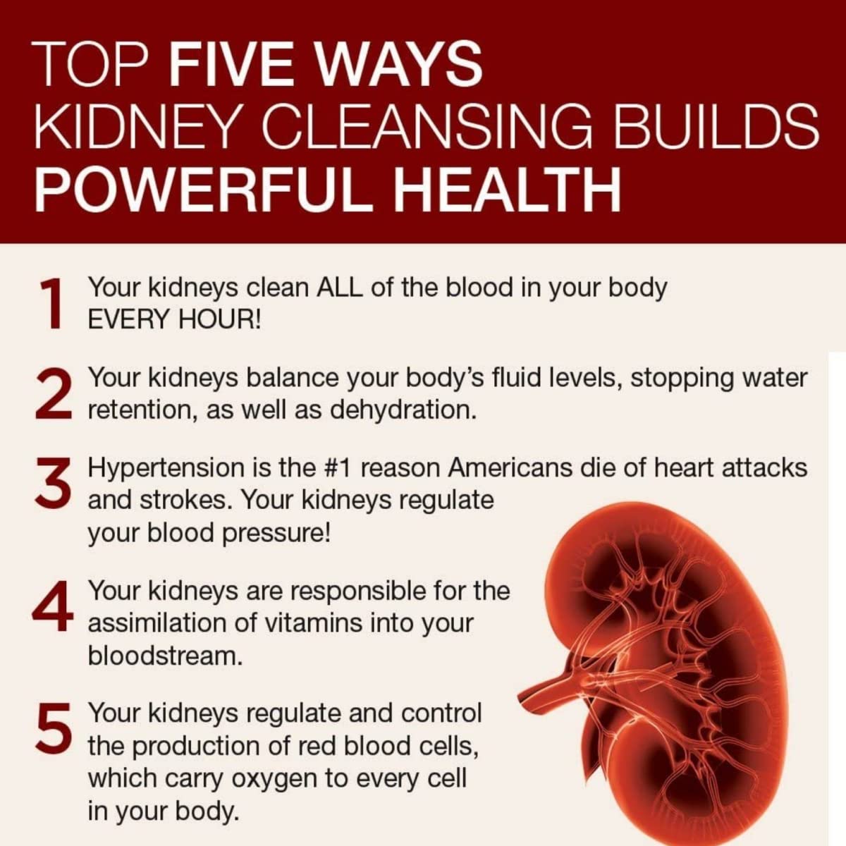 Dr. Schulze's 5 Day Kidney Dr. Schulze's uk supplements