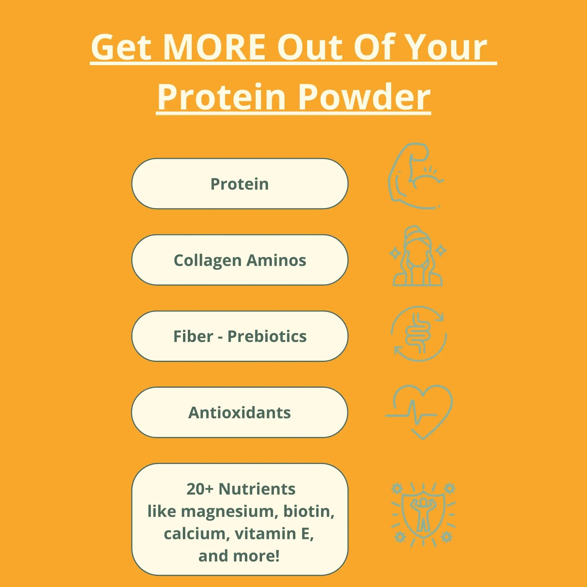 wellious Almond Protein Powder (Unflavored, Unsweetened) - 18 Grams of Pure Healthiest Vegan Protein for Women & Men | Soy-Free & Gut Friendly Protein wellious uk supplements