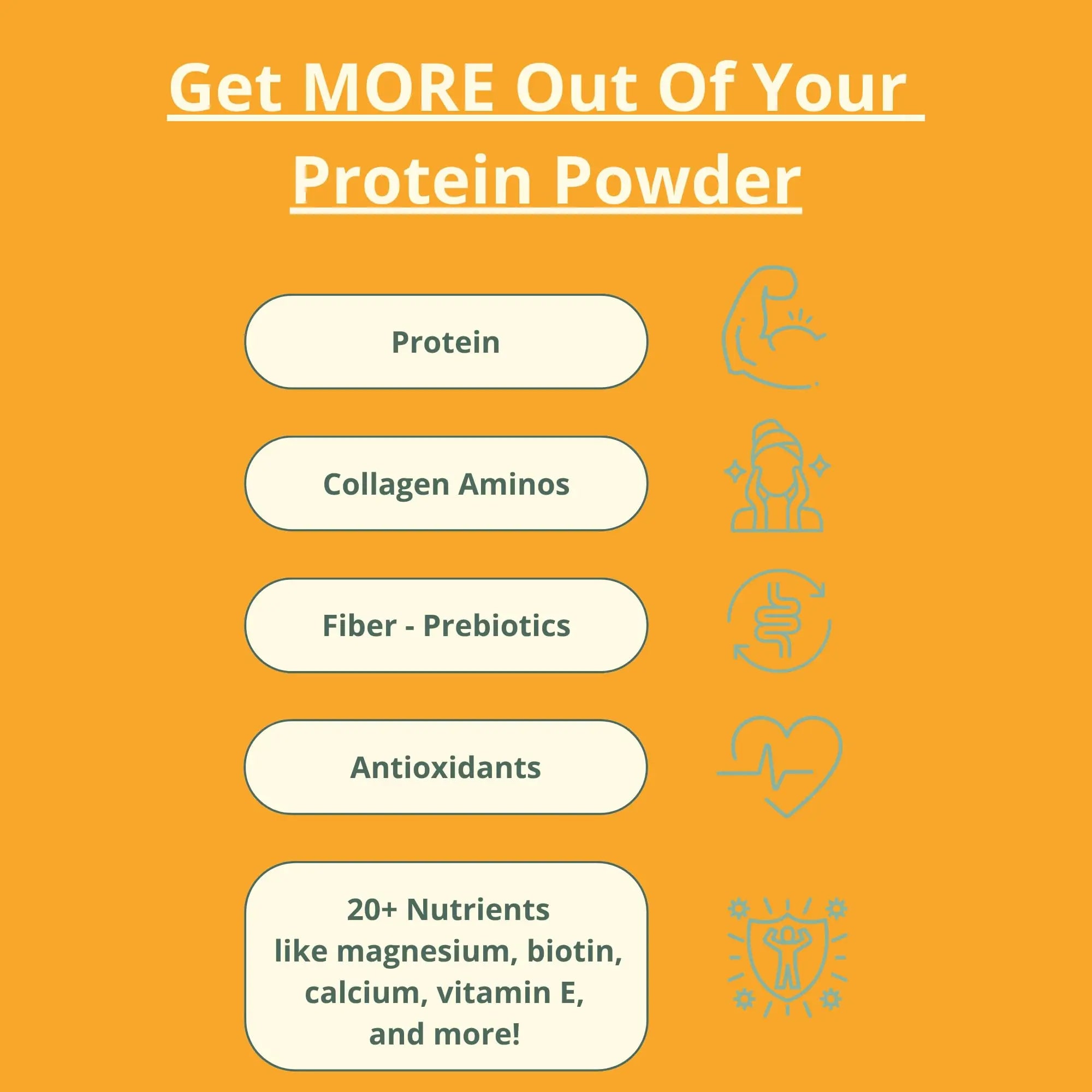 wellious Almond Protein Powder (Unflavored, Unsweetened) - 18 Grams of Pure Healthiest Vegan Protein for Women & Men | Soy-Free & Gut Friendly Protein wellious uk supplements