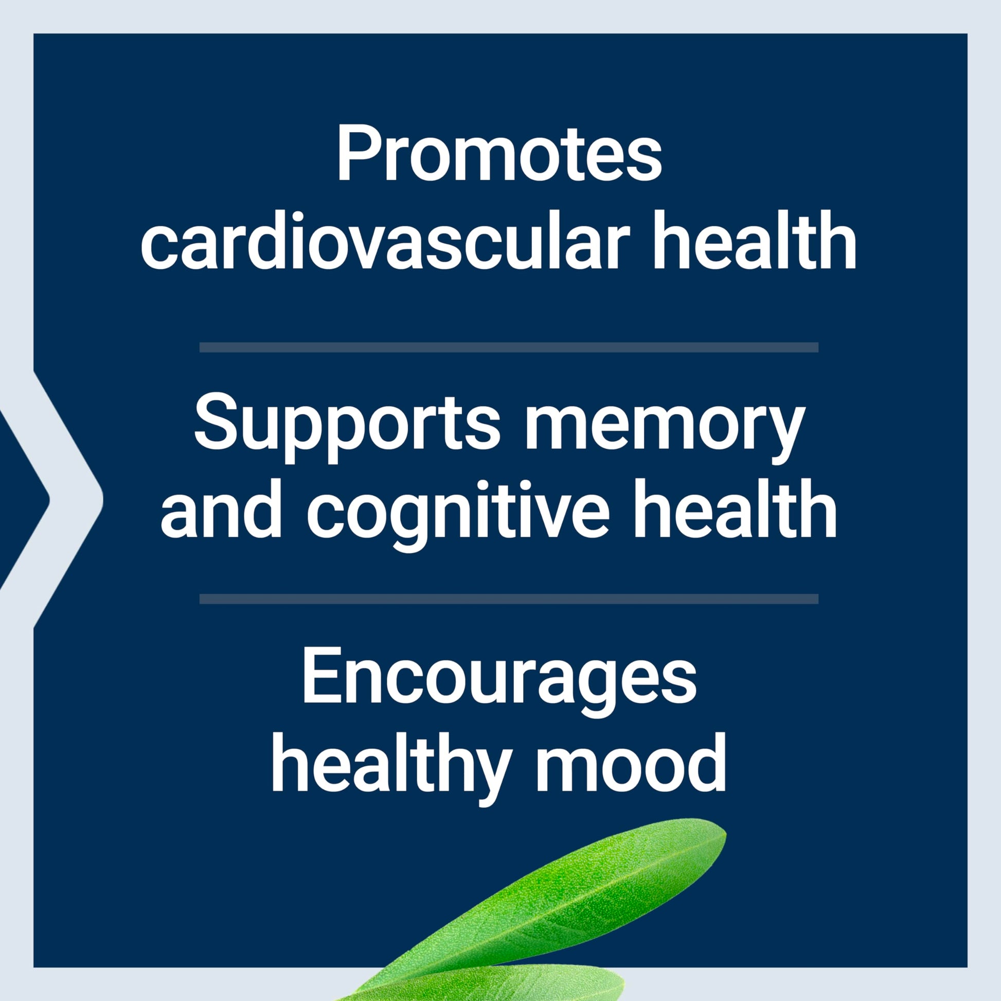 Life Extension Healthy Aging Powder, Healthy Aging Supplement, Heart Health, Brain Health, Exercise Performance, Taurine, Lithium, spermidine, Powder Blend, Non-GMO, Vegetarian, 30 Servings Life Extension uk supplements