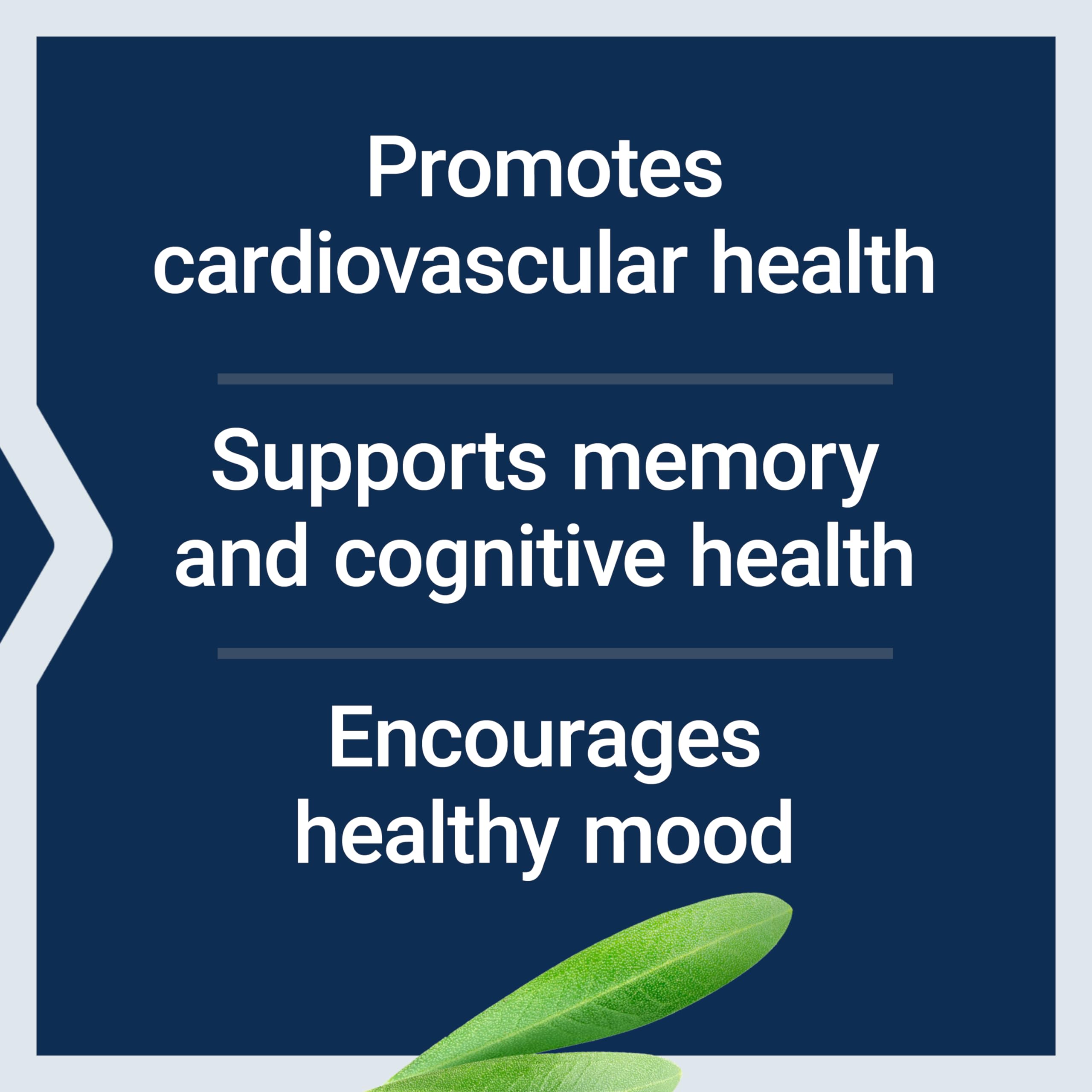 Life Extension Healthy Aging Powder, Healthy Aging Supplement, Heart Health, Brain Health, Exercise Performance, Taurine, Lithium, spermidine, Powder Blend, Non-GMO, Vegetarian, 30 Servings Life Extension uk supplements