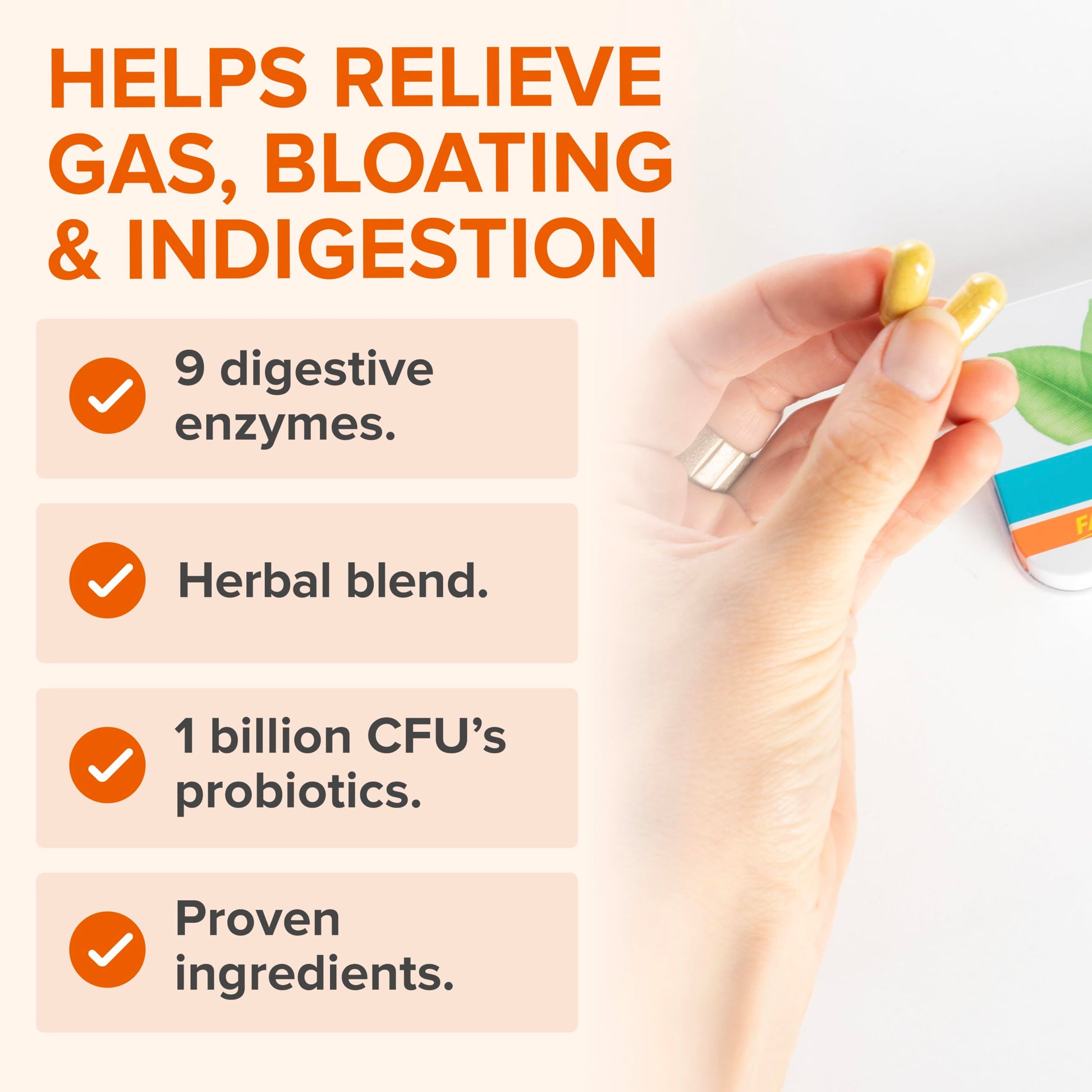 Zenwise Health No Bloat Probiotics for Women and Men Digestive Health with Ginger, Dandelion, and Lactase, Digestive Enzymes for Gas and Bloating Relief - Vegan Water Retention Pills - 14 CT Zenwise Health uk supplements