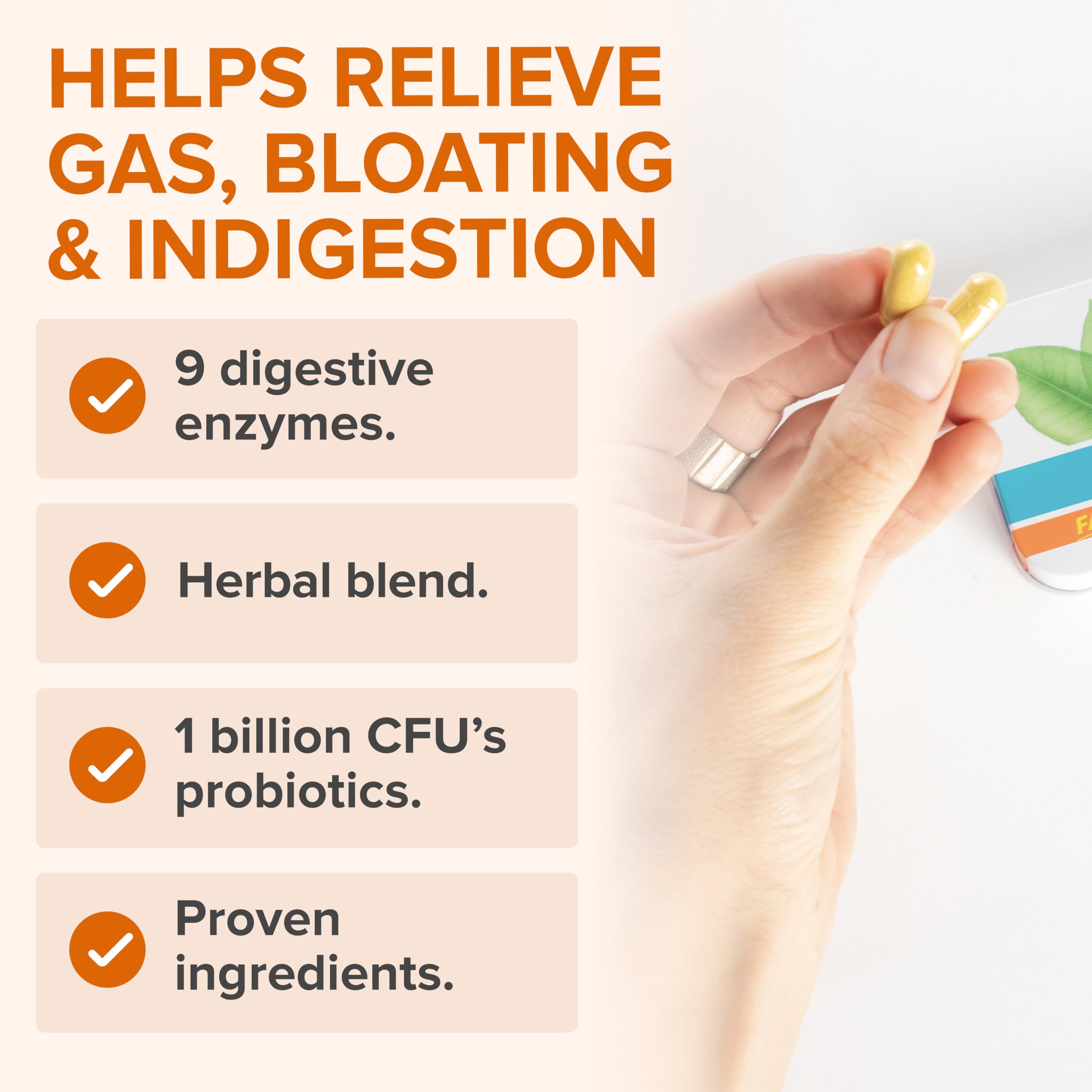 Zenwise Health No Bloat Probiotics for Women and Men Digestive Health with Ginger, Dandelion, and Lactase, Digestive Enzymes for Gas and Bloating Relief - Vegan Water Retention Pills - 14 CT Zenwise Health uk supplements