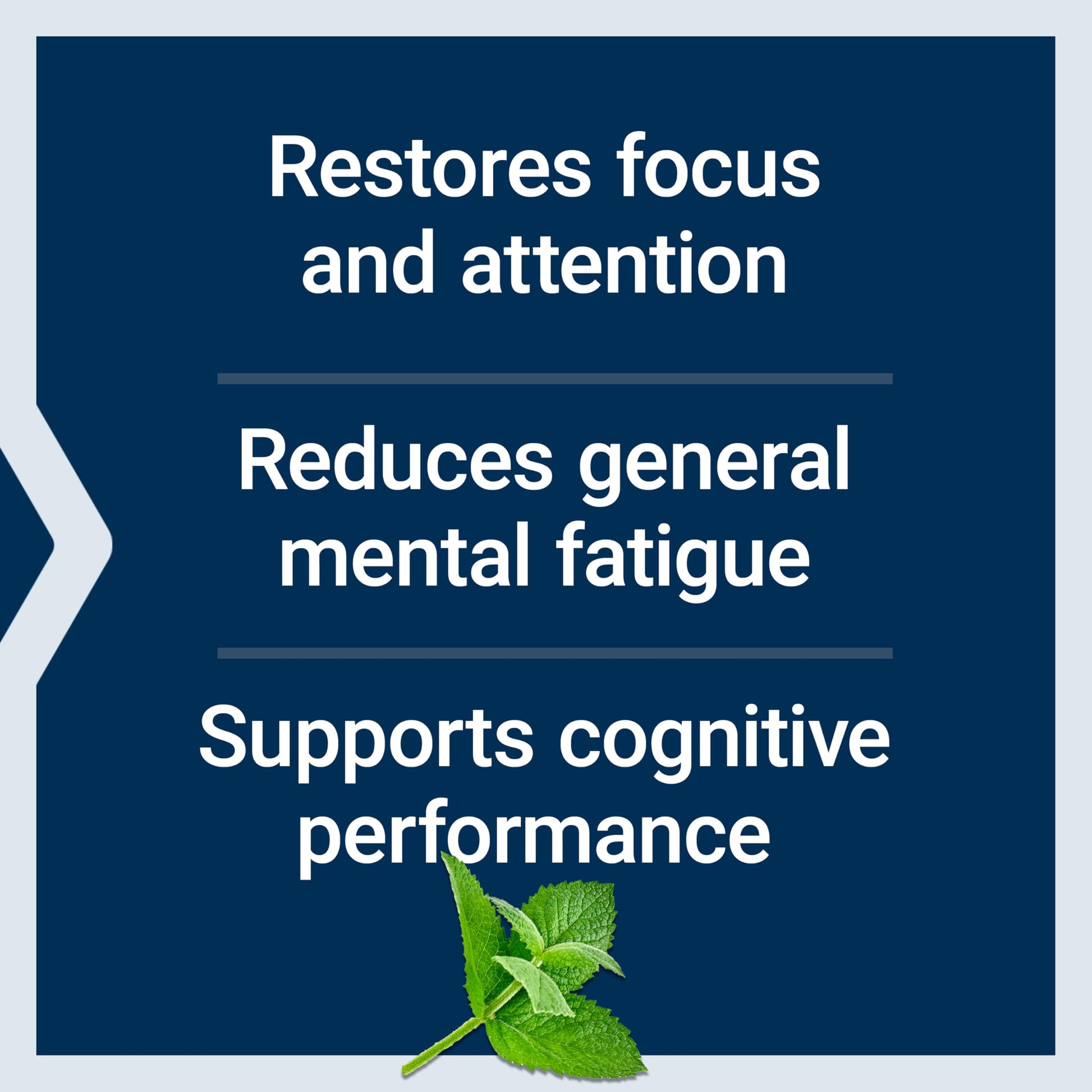Life Extension Brain Fog Relief, Mango Leaf Extract, standardized Peppermint Oil, nootropic Brain Supplement for Clarity and Focus, Fast-Acting, Caffeine-Free, Gluten Free, Non-GMO, 30 softgels Life Extension uk supplements
