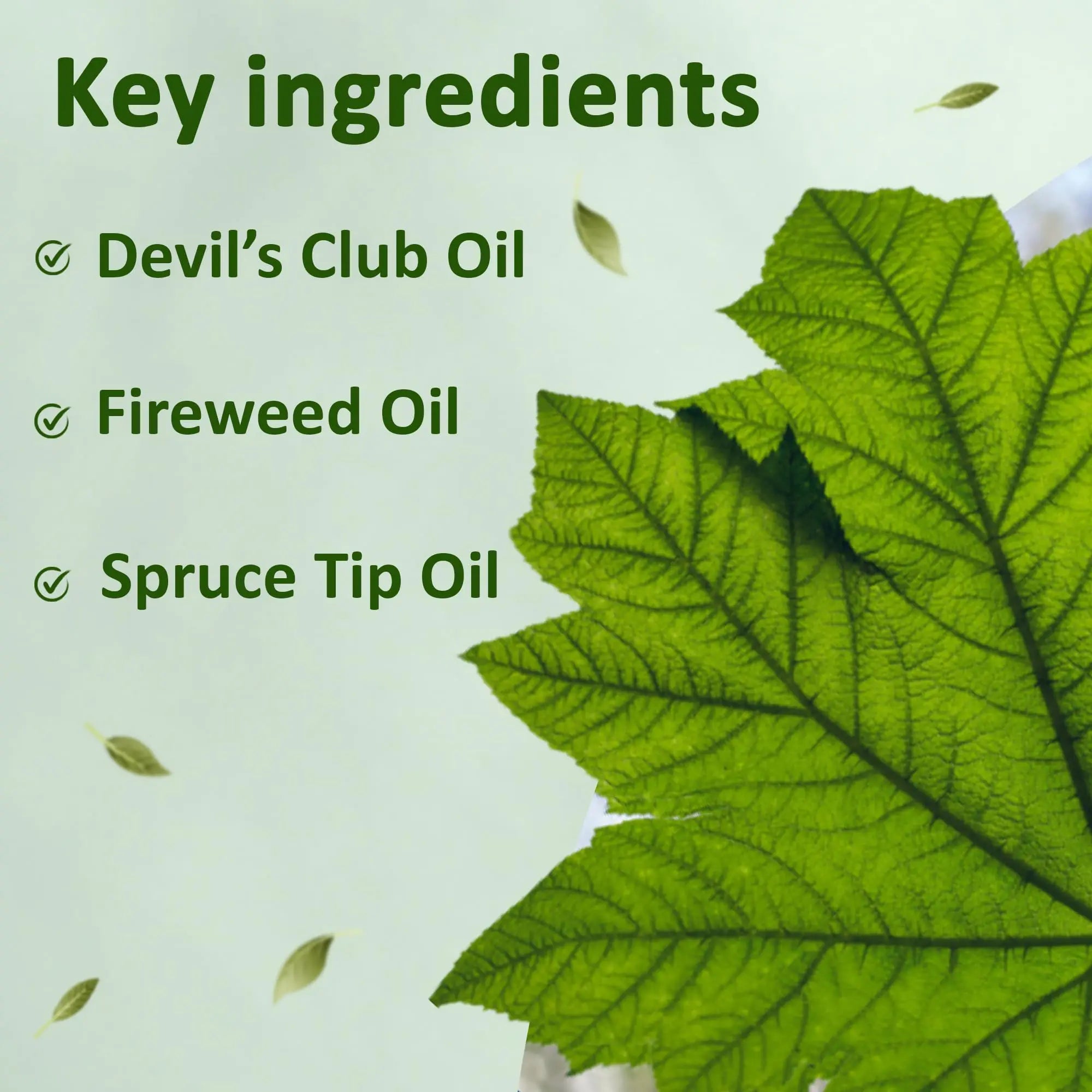Snowy Summit Alaska Rainforest Salve - Herbal Salve for Dry Skin & Joint Relief - Natural Super Salve for Soothing Skin with Gentle Aroma - Body & Hand Salve - Muscle Rub with Alaskan Devil’s Club Oil Snowy Summit uk supplements
