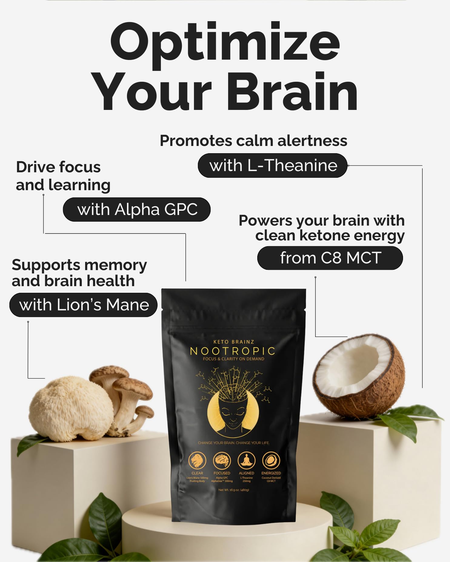 Keto Brainz C8MCT Based Nootropic - with 500mg Lion's Mane Mushroom, AlphaGPC & L-Theanine This is The Ultimate Easy to use nootropic Stack & Makes Delicious Mushroom Coffee! 16oz. 30 Servings Keto Brainz uk supplements