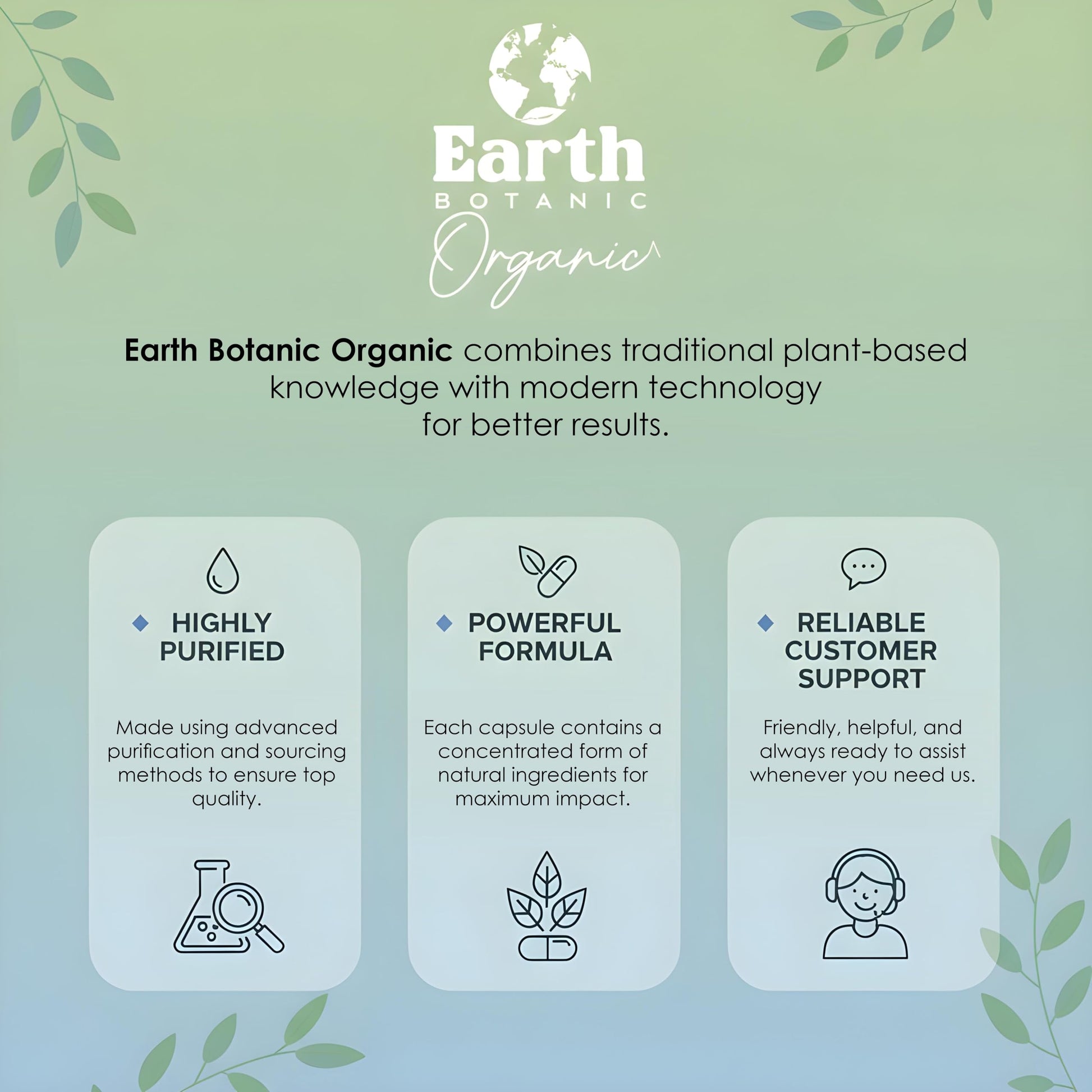 Earth BOTANIC Organic Apricot Extract, 1000 mg 120 Veggie Capsules (Vegan, Non-GMO) Herbal Supplements Earth BOTANIC Organic uk supplements