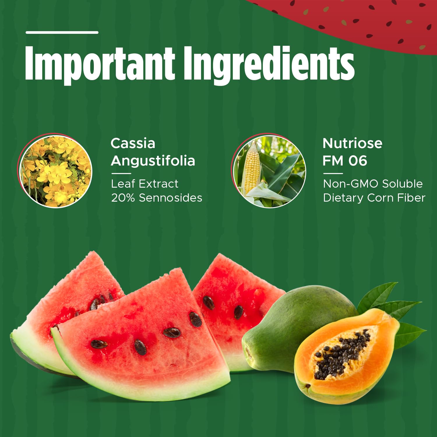 Iaso Instant Tea Watermelon Flavor - 4 grams (25 Sachets) Total Life Changes uk supplements