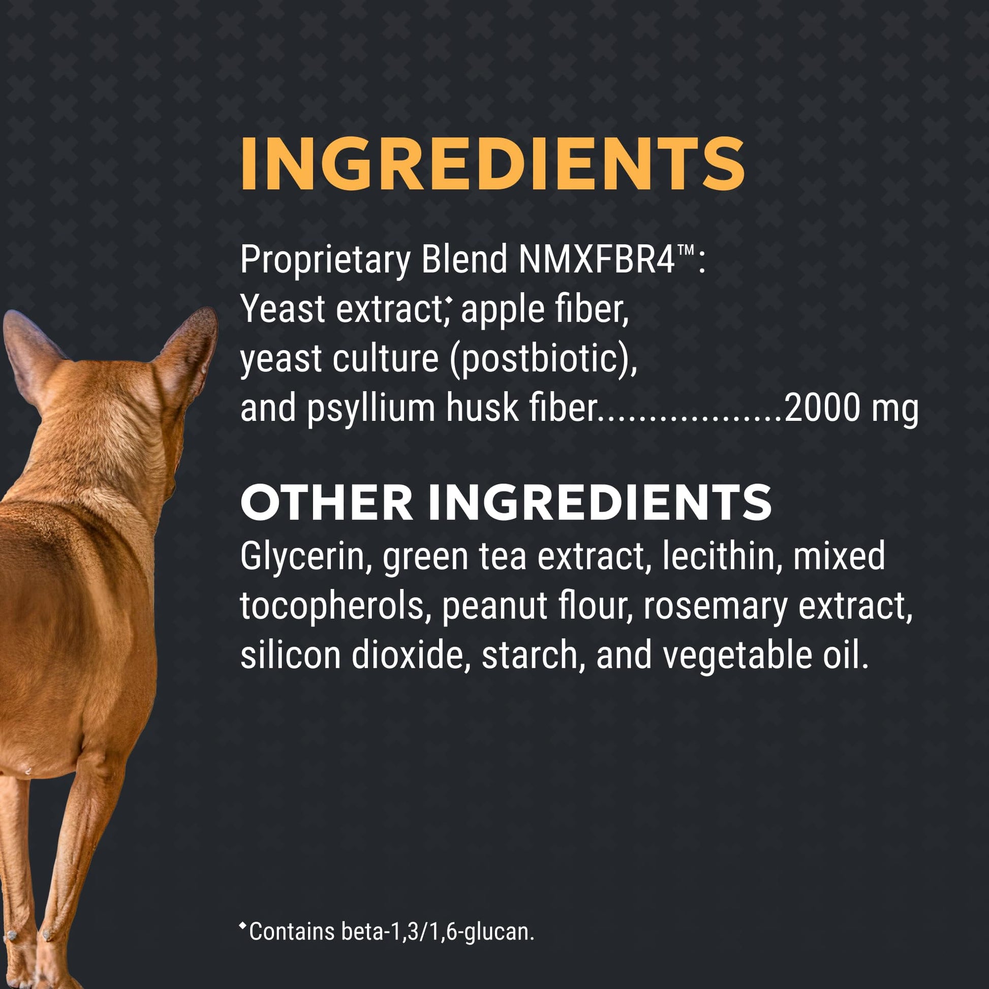 Nutramax Filaquin Anal Gland Supplement for Dogs, from The Same Company as Cosequin & Proviable, with Pre & Postbiotics and Psyllium Husk Fiber to Support Anal Gland Health, 90 Count Soft Chews Nutramax Laboratories uk supplements
