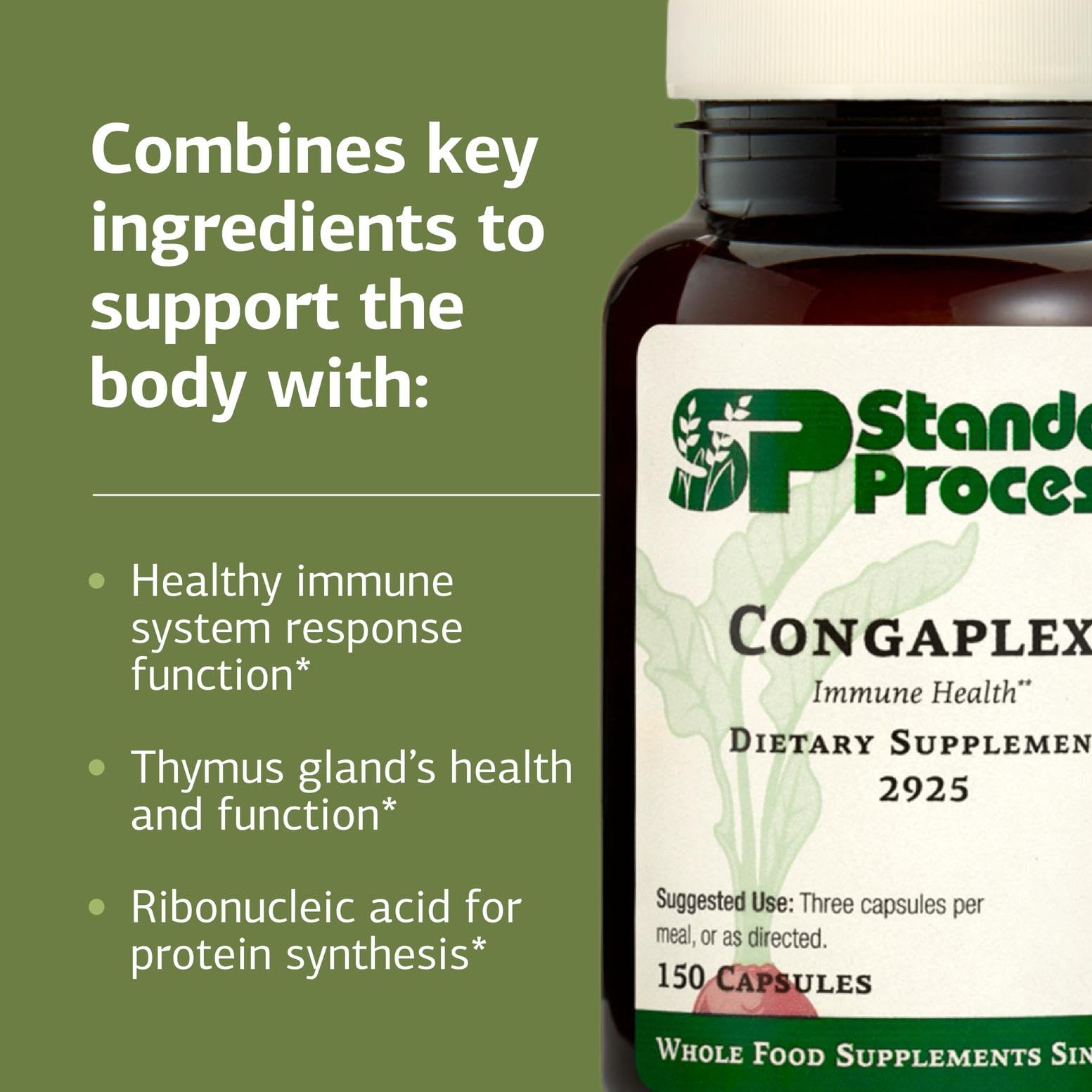 Standard Process Inc. Congaplex - Thymus Gland Support Supplement - Immune Health with Calcium Lactate, Magnesium, Vitamin C & Vitamin A - Immune System Aid with Mushroom Powder - 150 Capsules Standard Process Inc. uk supplements