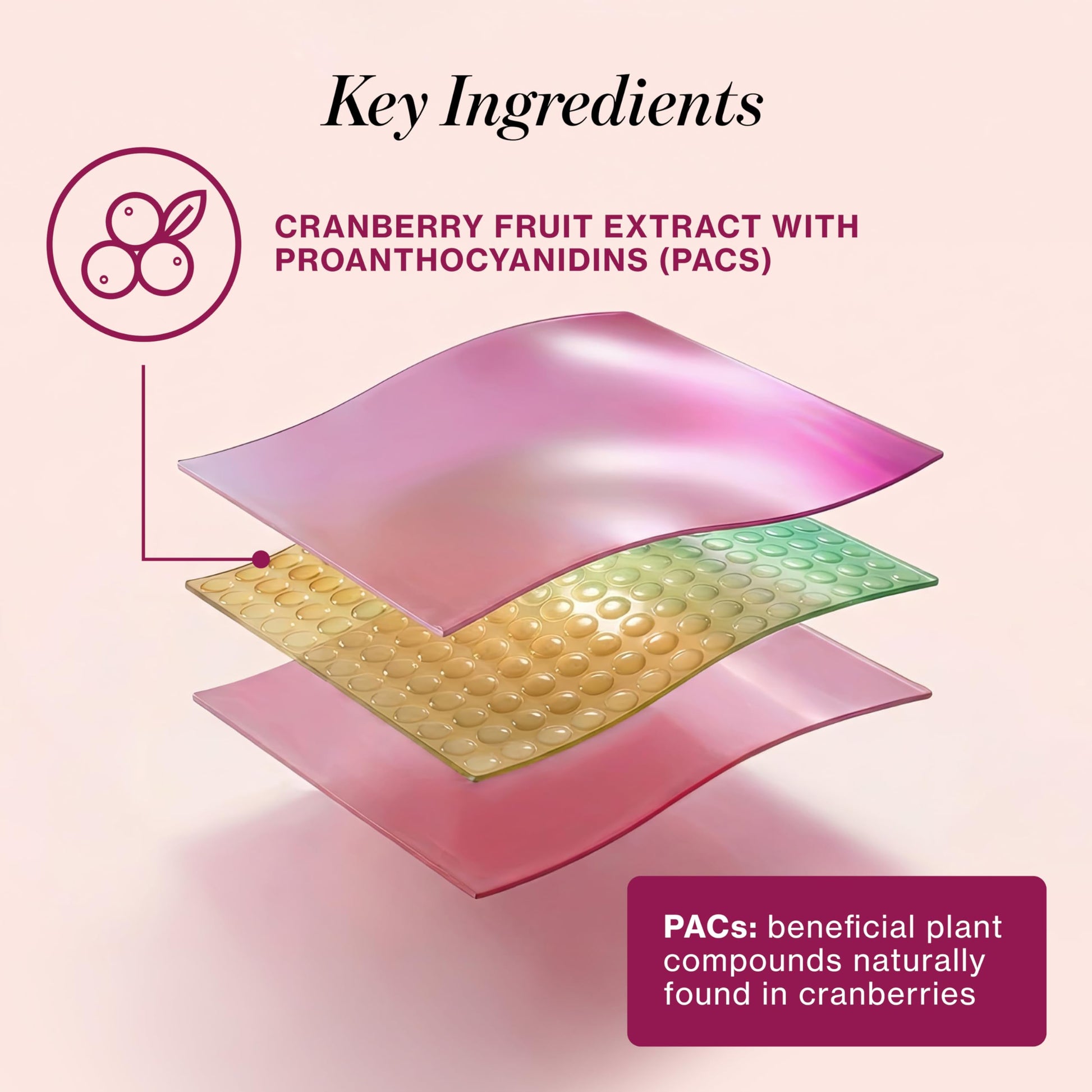 Love Wellness Urinary Tract* Quick Melt Strips - Fast-Dissolving UT Support with 36 mg PACs from Cranberry Fruit Extract - Promotes Urinary Health* - No Water Needed - Vegan and Sugar Free - 32 Strips Love Wellness uk supplements