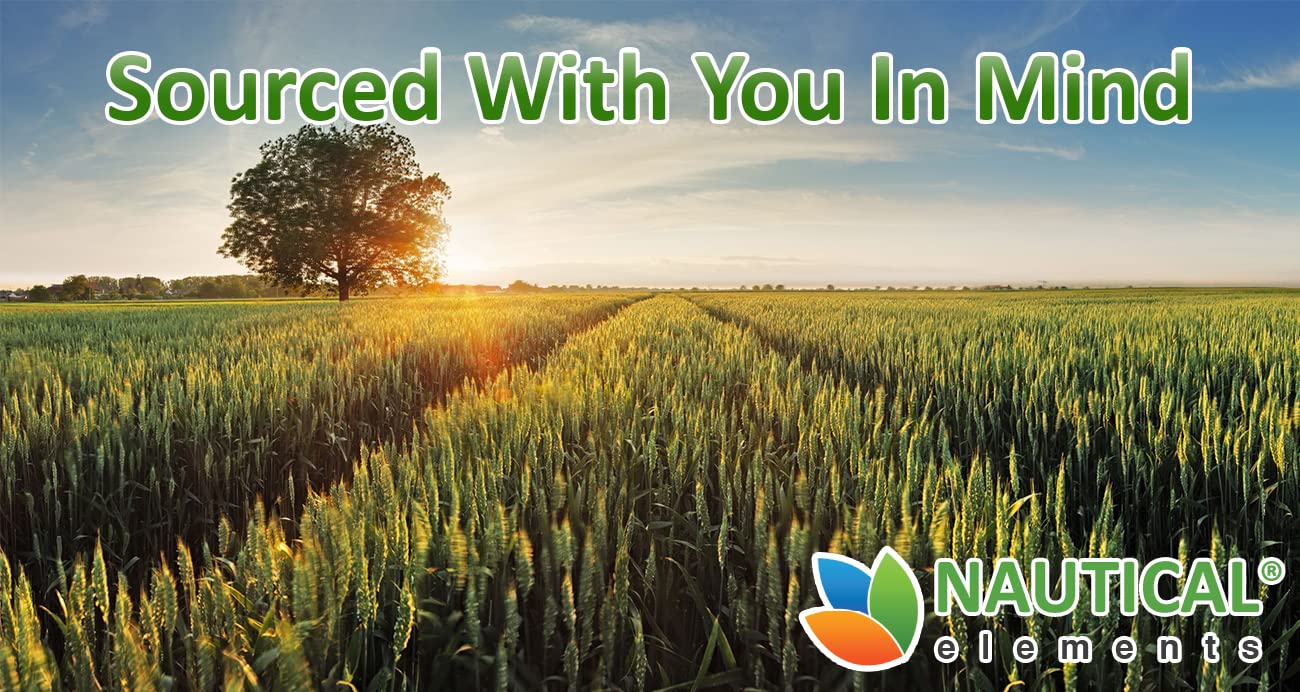 Wheatgrass Powder - USDA Certified Organic Wheat Grass Powder That Is Rich In Essential Amino Acids, Chlorophyll, Antioxidants, Fatty Acids, Minerals & Vitamins - US Grown - Vegan & Non-GMO Superfoods Nautical Elements uk supplements