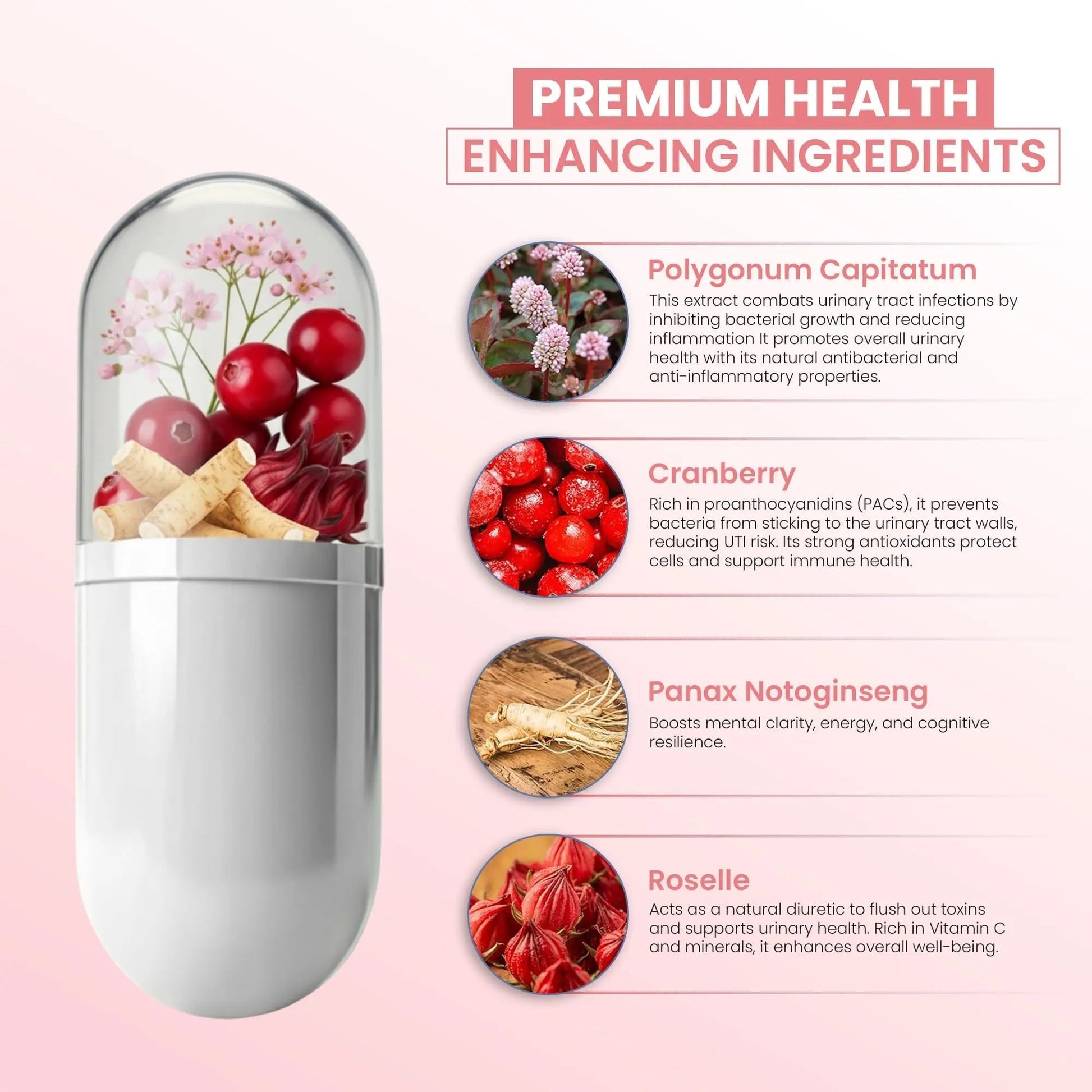 ZEN LIFE HERB UTFREx – Fast Acting - Promotes Urinary Tract Health Supports Healthy Immune and Urinary System, No Vitamins, Minerals, Prebiotics, Sugar, Plant-Based Supplement (60 Capsules) ZEN LIFE HERB uk supplements