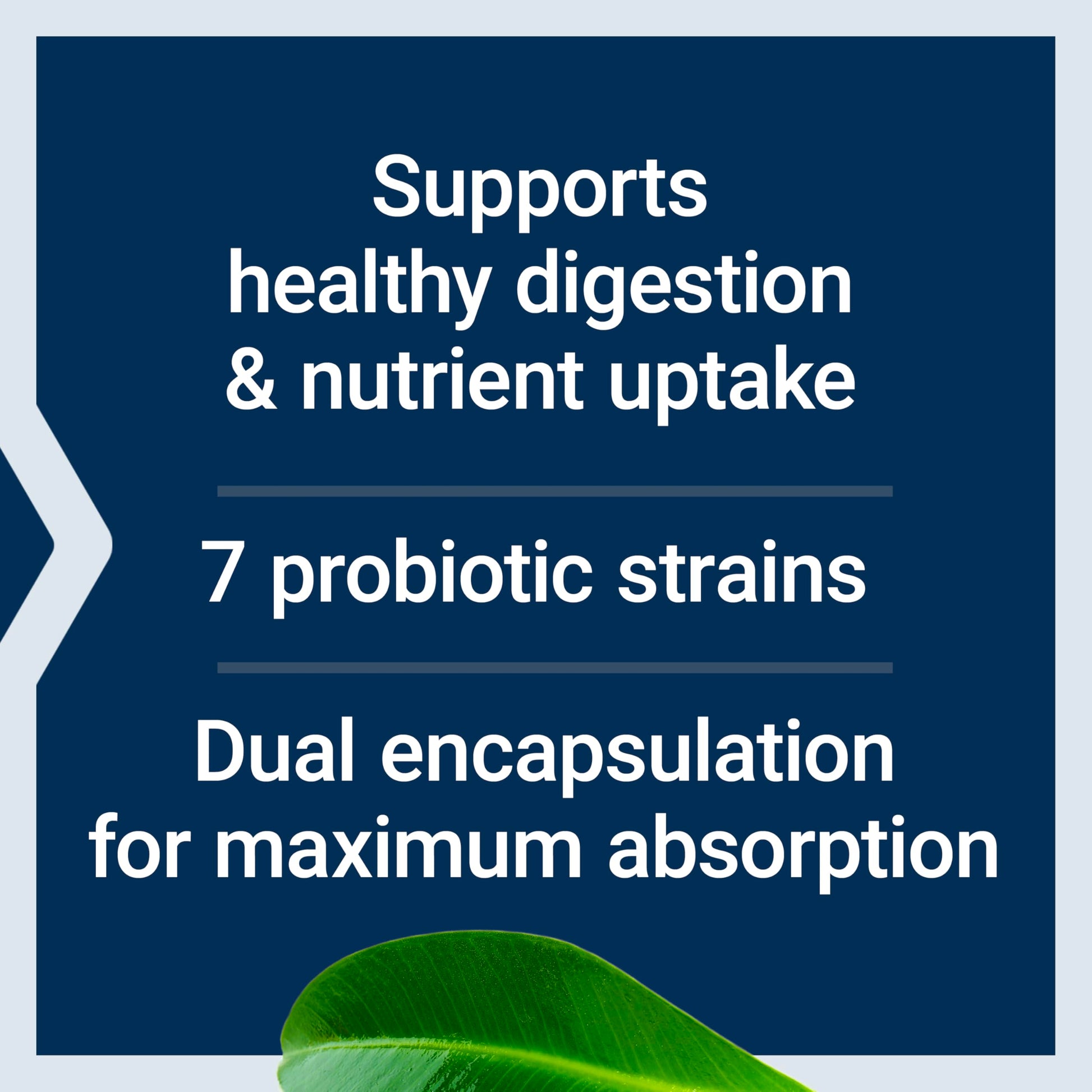 Life Extension FLORASSIST® Probiotic GI with Phage Technology, Digestive Health Supplement, microbiome Balance, Gut Health, Gluten Free, Vegetarian, 30 Capsules Life Extension uk supplements