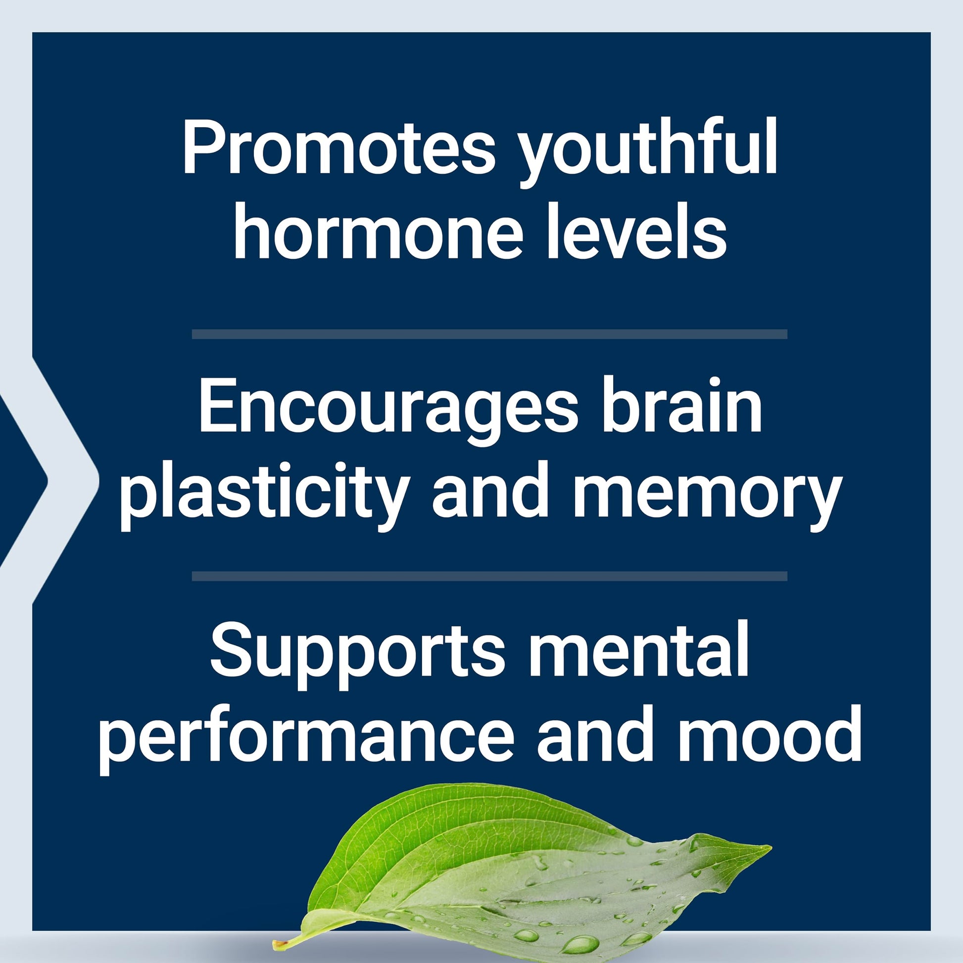 Life Extension Pregnenolone - Hormone Balance Supplement for Healthy Hormone Levels, 100 mg - Hormone Balance, Memory, Focus, Cognitive Health - Gluten-Free, Non-GMO, 100 Capsules Life Extension uk supplements