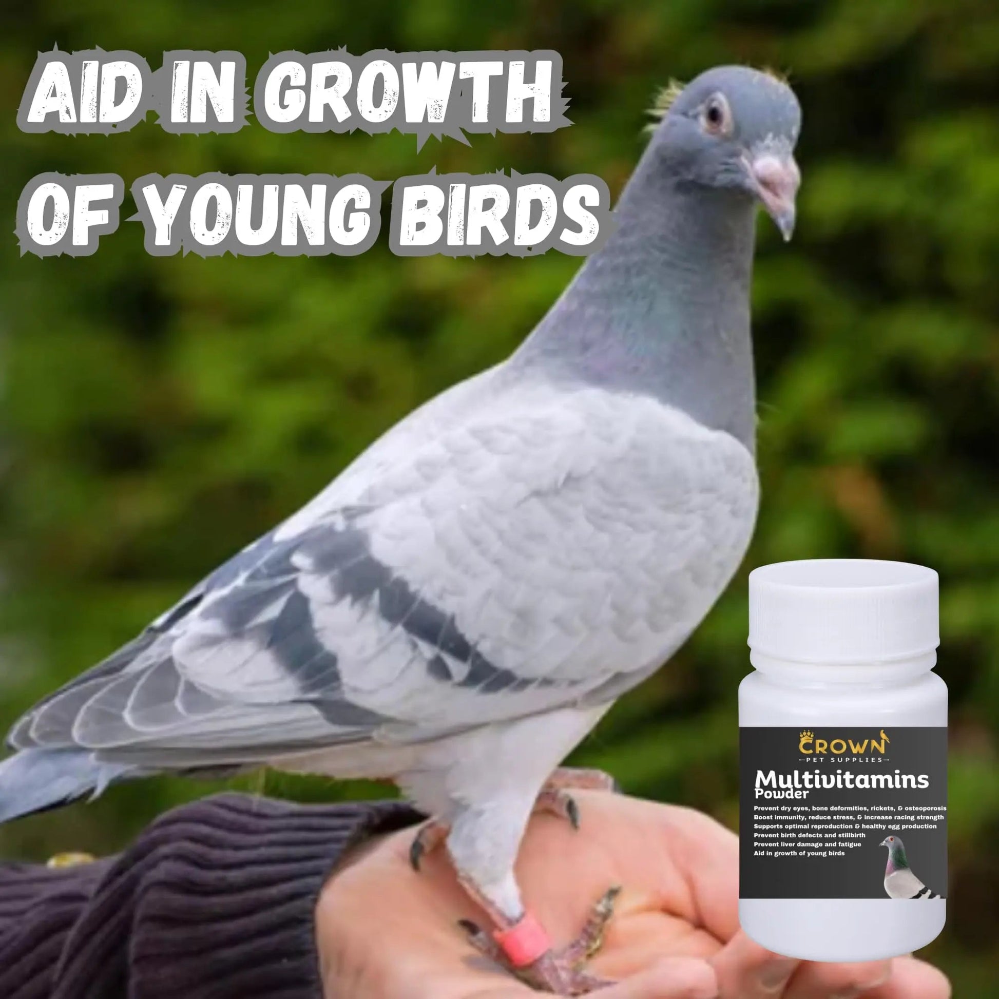 Multivitamin Powder for Pigeons – Ultimate Vitamin Formula for Racing & Breeding – Supports Growth, Bone Strength, Reproductive Health & Feather Health Crown Pet Supplies uk supplements
