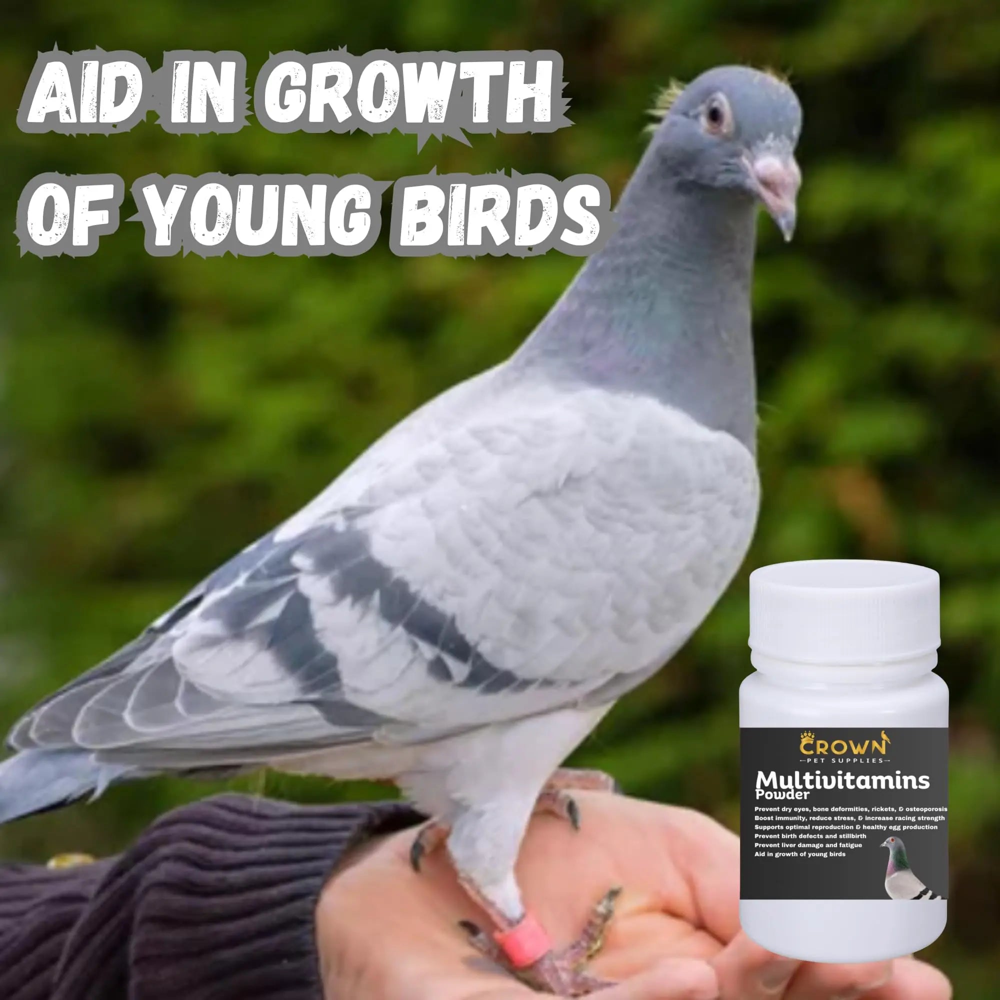 Multivitamin Powder for Pigeons – Ultimate Vitamin Formula for Racing & Breeding – Supports Growth, Bone Strength, Reproductive Health & Feather Health Crown Pet Supplies uk supplements
