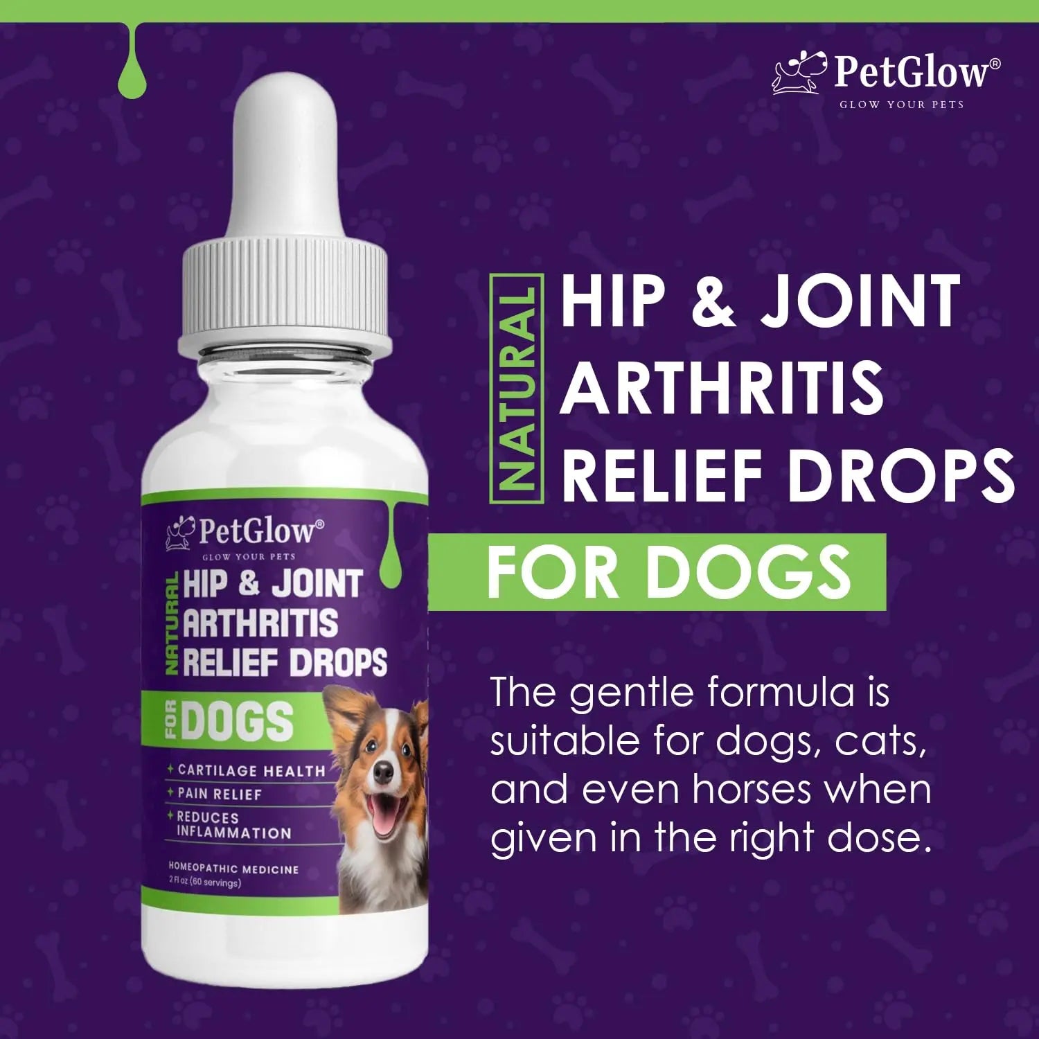 Petglow® Natural Hip & Joint Arthritis Relief Drops with Curcumin & Boswellia, Homeopathic Anti-Inflammatory Formula for Dogs, Cats & Horses, Supports Flexibility, Comfort & Mobility Naturally Petglow uk supplements