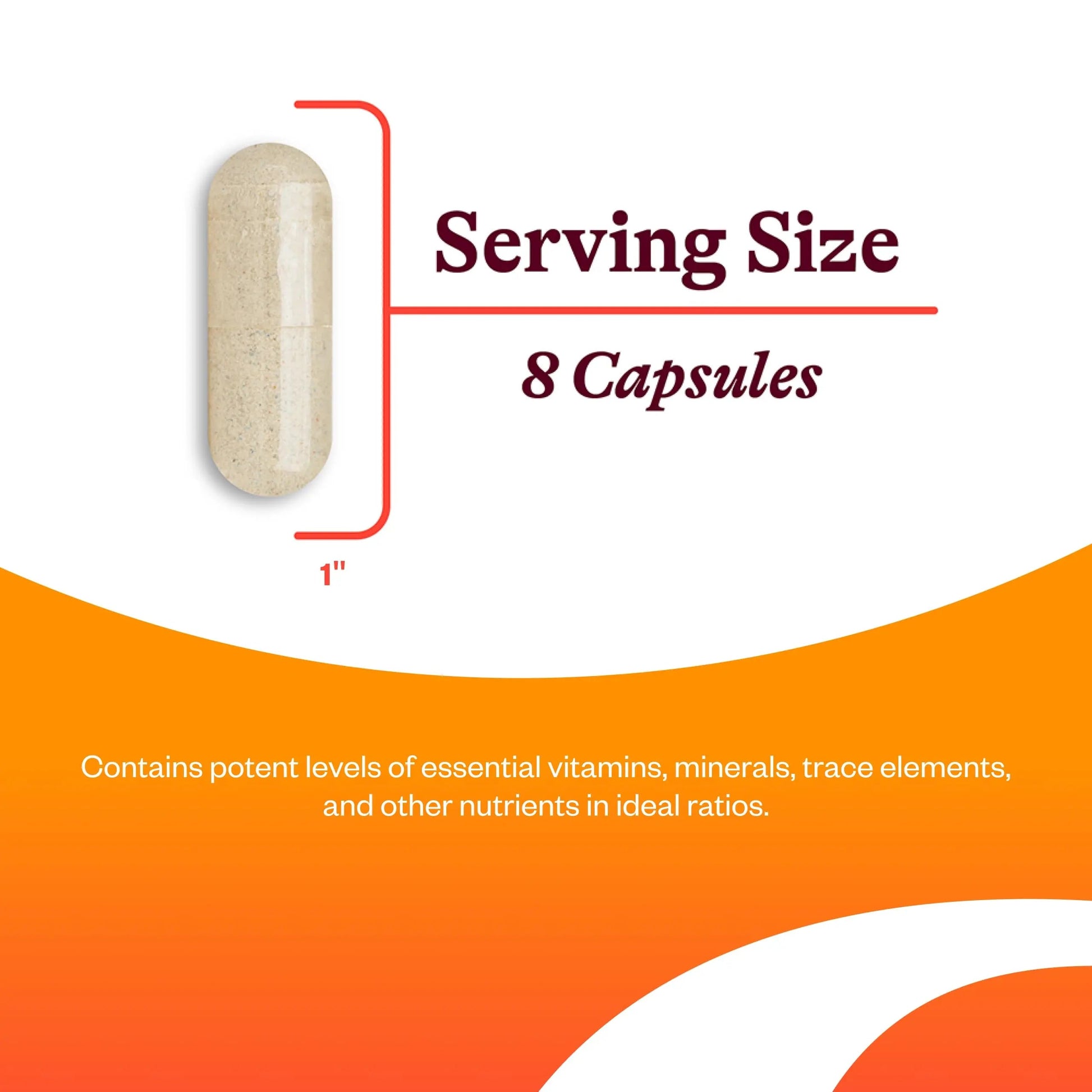 Seeking Health Optimal Multivitamin, Active B Vitamins and L-5-MTHF, Riboflavin, B6, Bioavailable Folate and B12, CoQ10 Seeking Health uk supplements