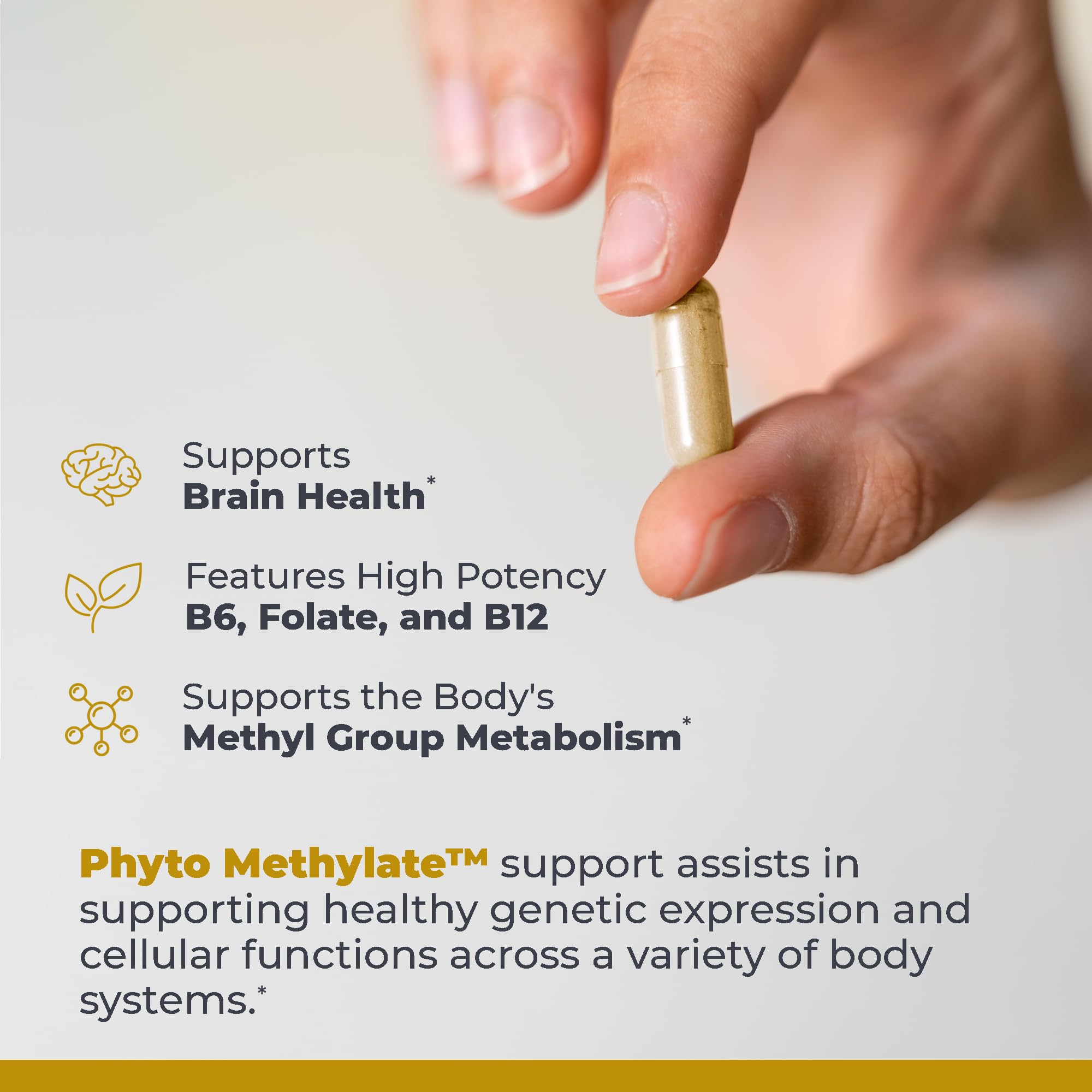 Premier Research Labs Phyto Methylate - B Vitamin Supplement - Supports Methylation, Detox, Brain & Heart Health - 5-MTHF & P5P - 60 Plant-Source Capsules Premier Research Labs uk supplements