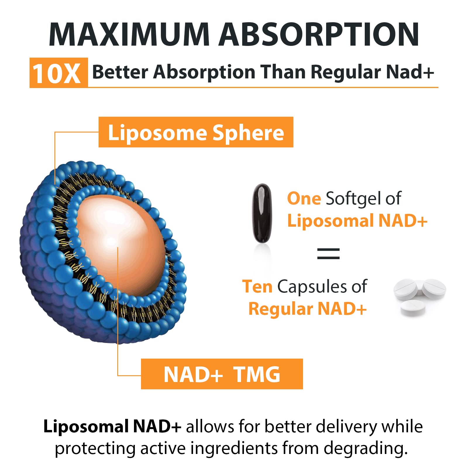 Orgabay Liposomal NAD+ Supplement 500 mg, High Absorption, Boost NAD+ with TMG 250 mg, Actual NAD Plus More Efficient Than Nicotinamide Riboside, Support Cellular Energy, Healthy Aging | 180 Softgels Orgabay uk supplements