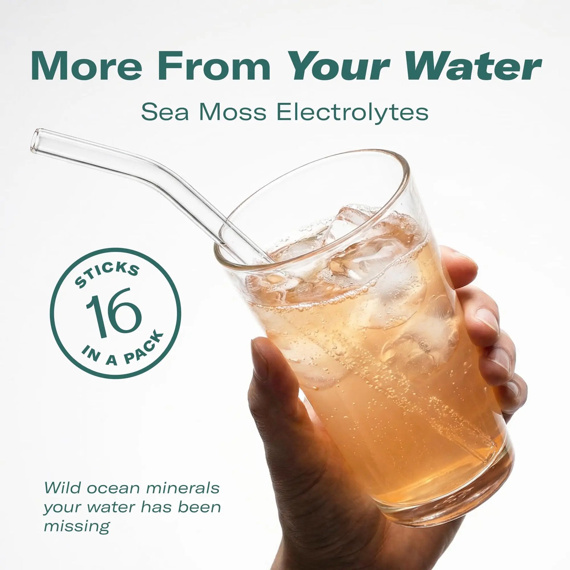 TrueSeaMoss Electrolytes Powder Packets – Made in USA – 16 Stickpacks – Hydration Powder with Sea Moss with Potassium – No Sugar Drinks – Variety Pack TrueSeaMoss uk supplements