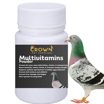 Multivitamin Powder for Pigeons – Ultimate Vitamin Formula for Racing & Breeding – Supports Growth, Bone Strength, Reproductive Health & Feather Health Crown Pet Supplies uk supplements