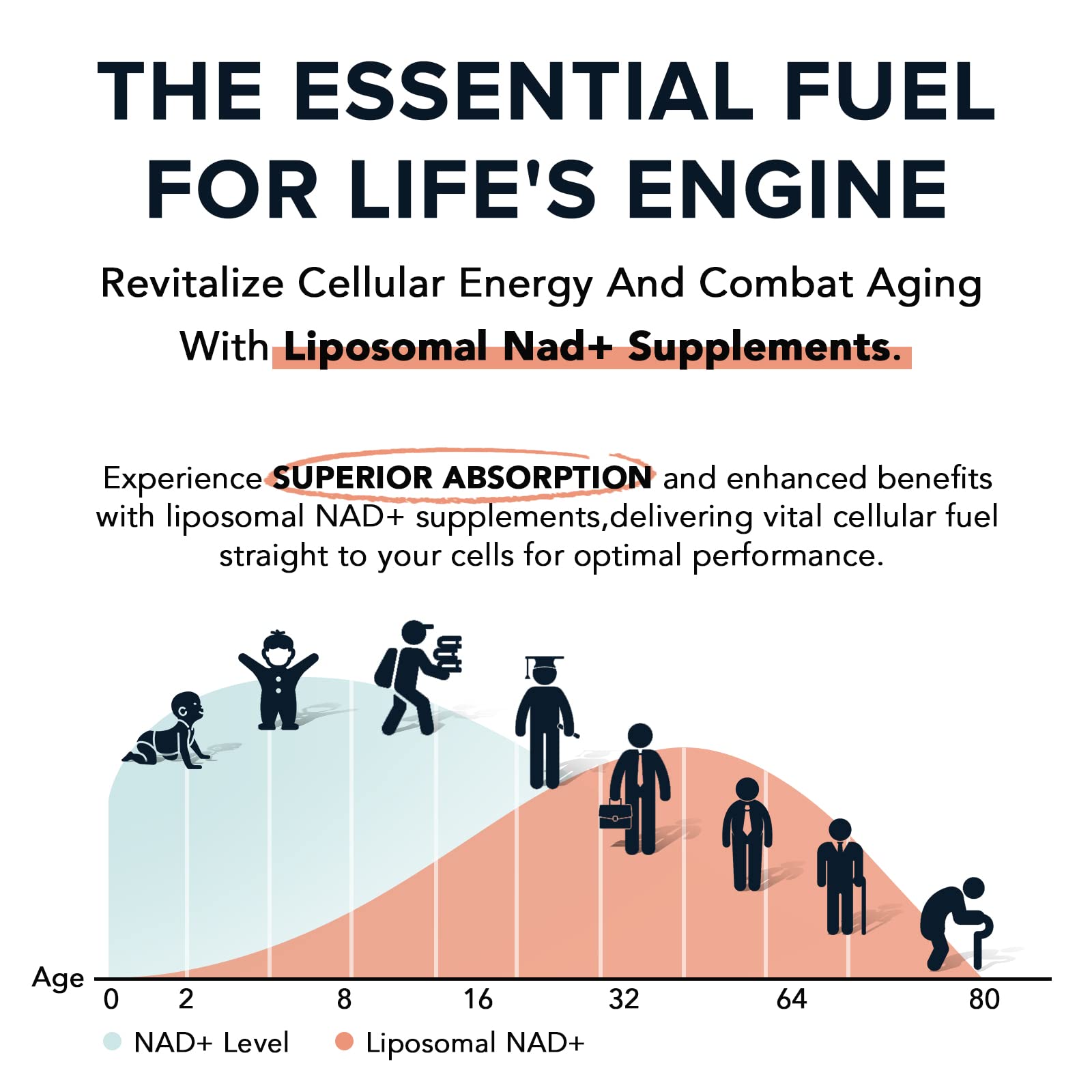 Fabamax 1600 mg Liposomal NAD Supplement, 98% Pure NAD+ Supplement, Superior Absorption, Alternative to Nicotinamide Riboside or NADH to Boost NAD+ for Aging Defense, Energy, Longevity, 120 Softgels Fabamax uk supplements