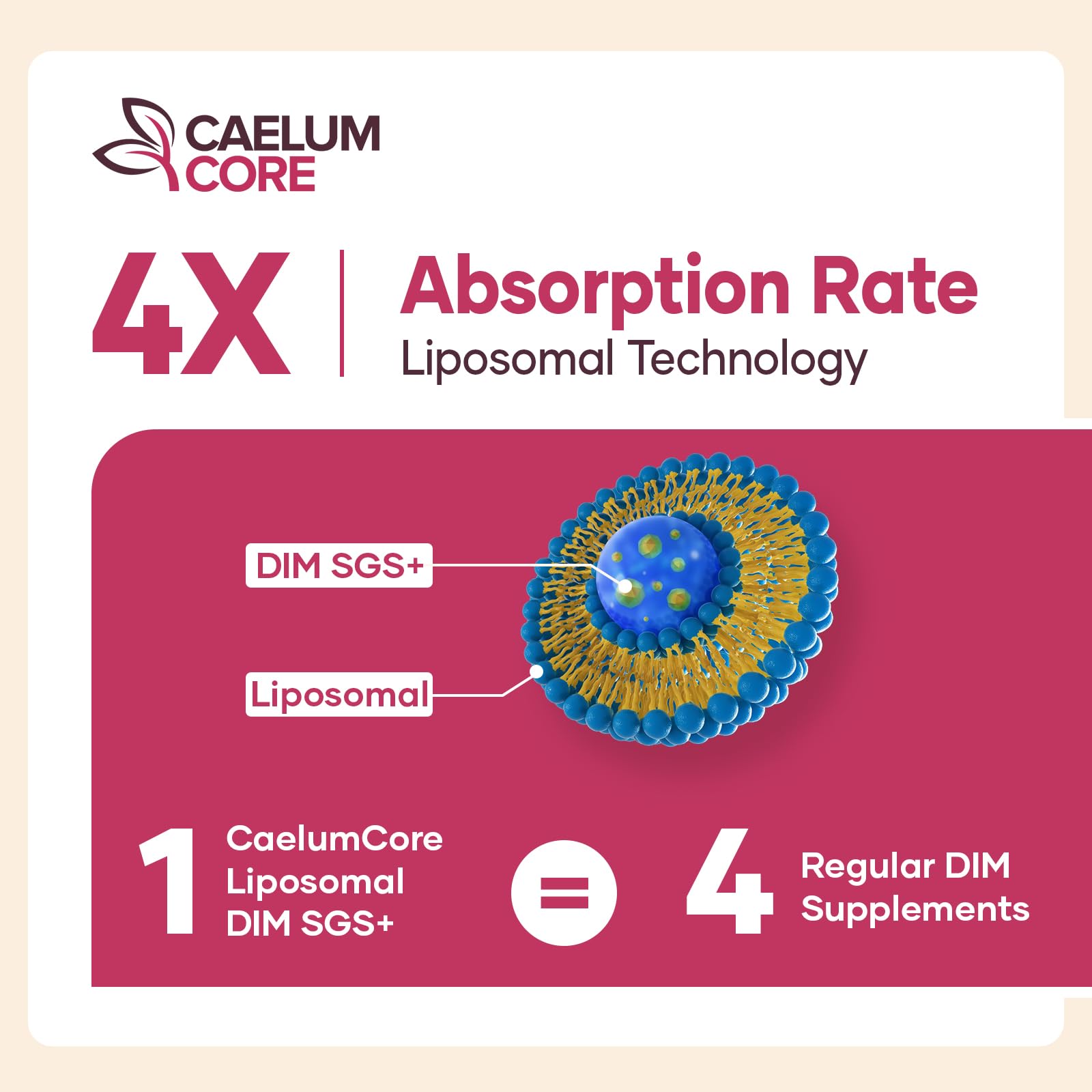 CEALMU CORE Liposomal DIM SGS Supplement - Estrogen Supplements for Women & Men Contains Sulforaphane Glucosinolate, Vitamin E, Pomegranate Fruit - Support Detox and Antioxidant (1 Pack) CEALMU CORE uk supplements