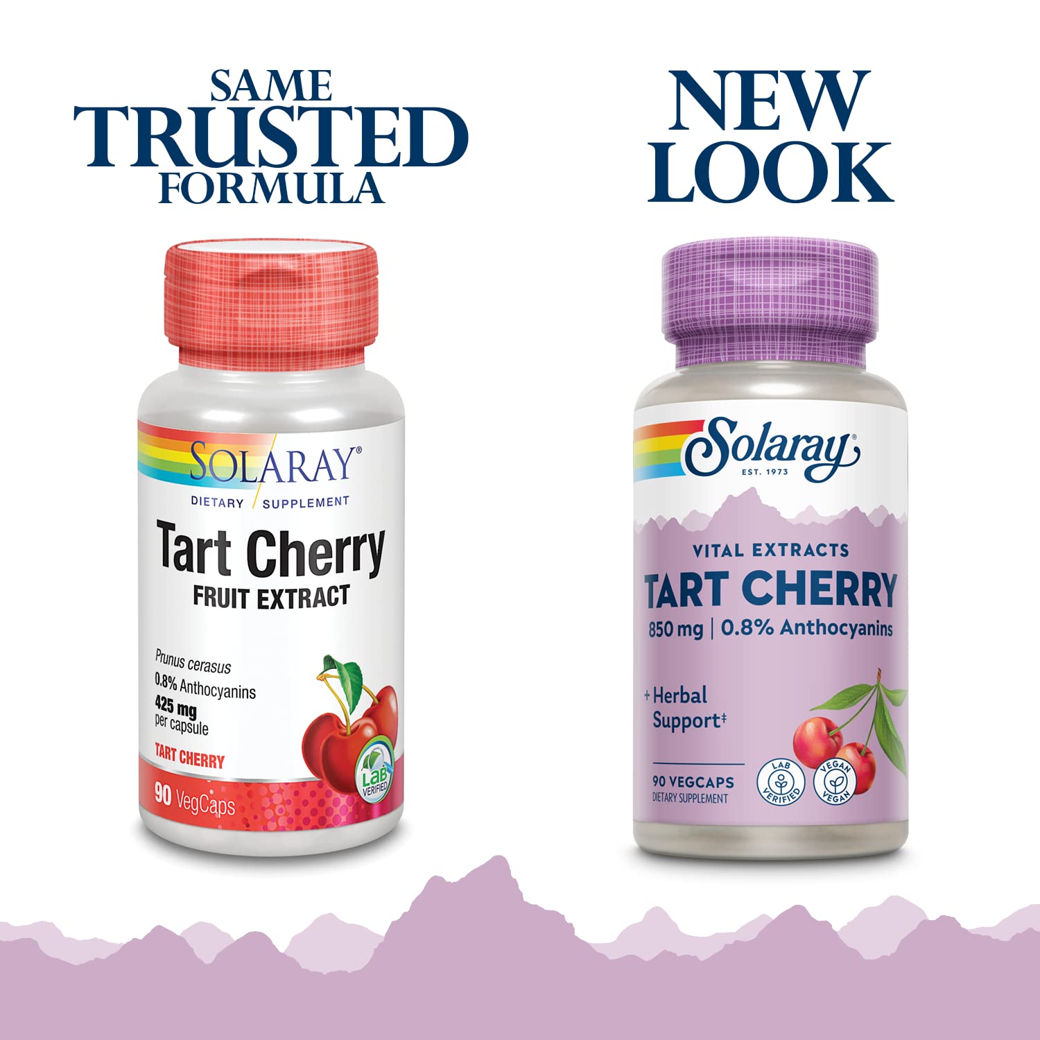 Solaray Tart Cherry Fruit Extract 850 mg - Tart Cherry Supplement with Antioxidants, Fruit Juice Extract with Flavonoids - 90 VegCaps SOLARAY uk supplements